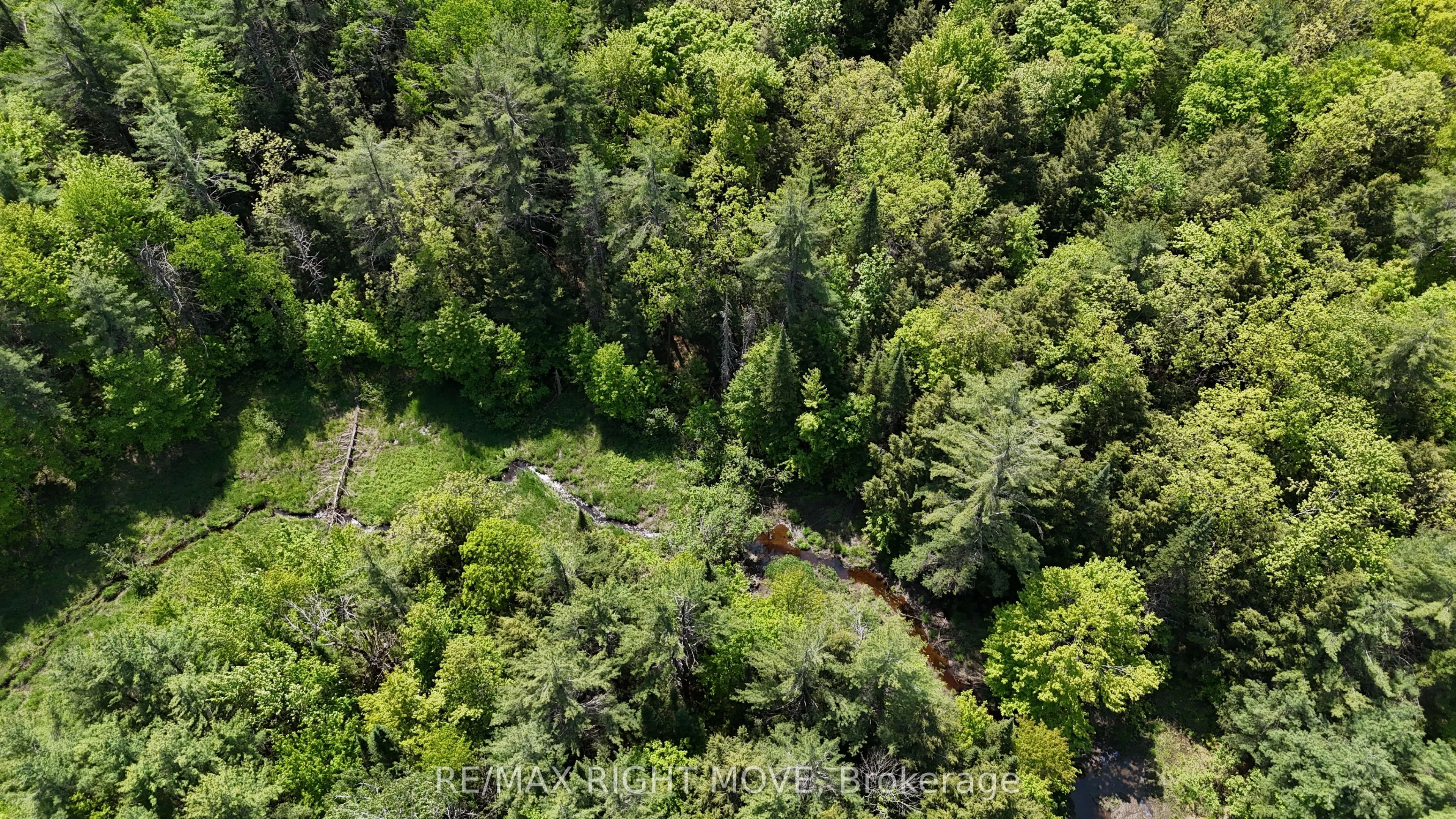 2159 Southwood Road