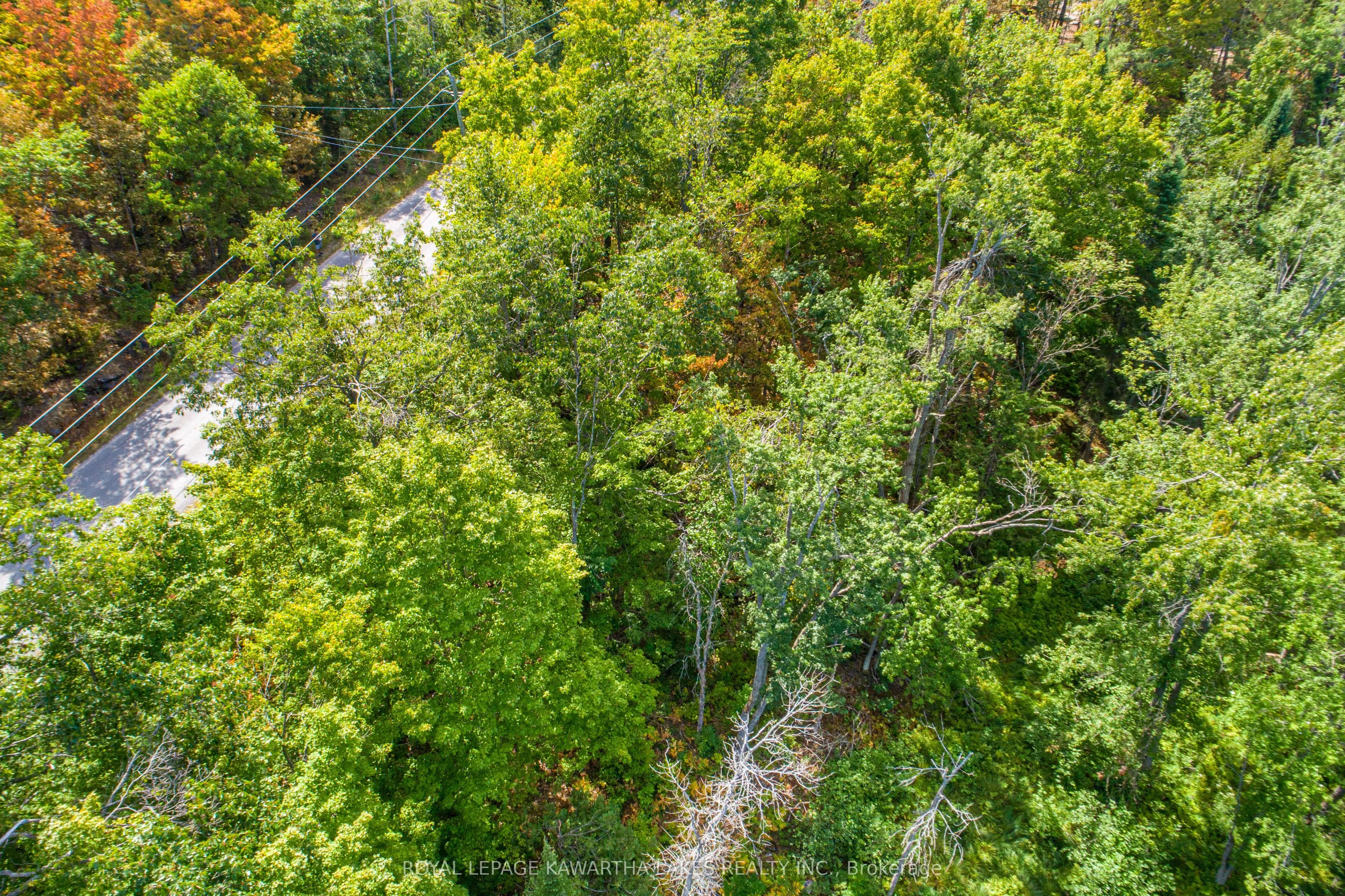PT LOT 36 Edwina Drive