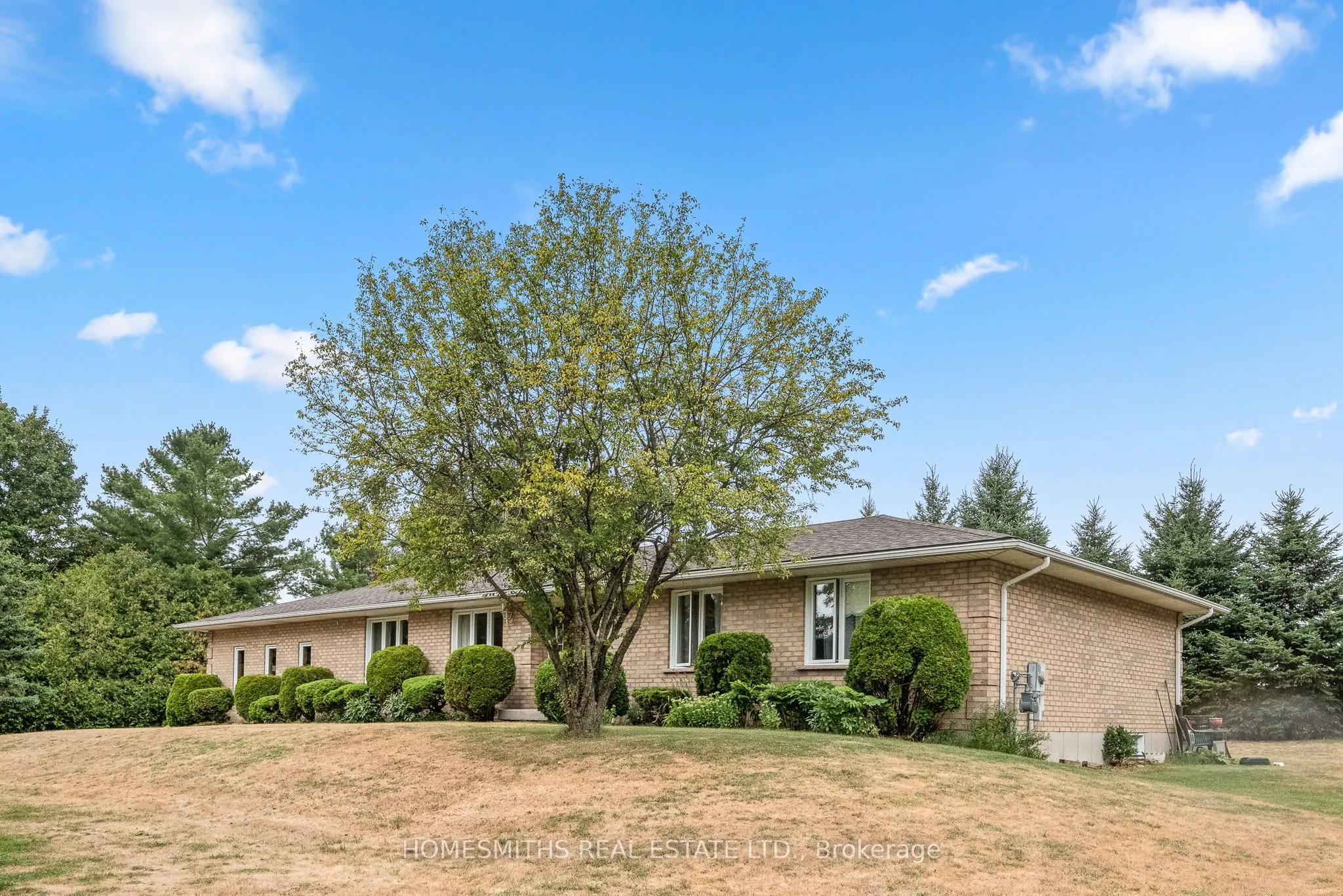 8438 Dale Road