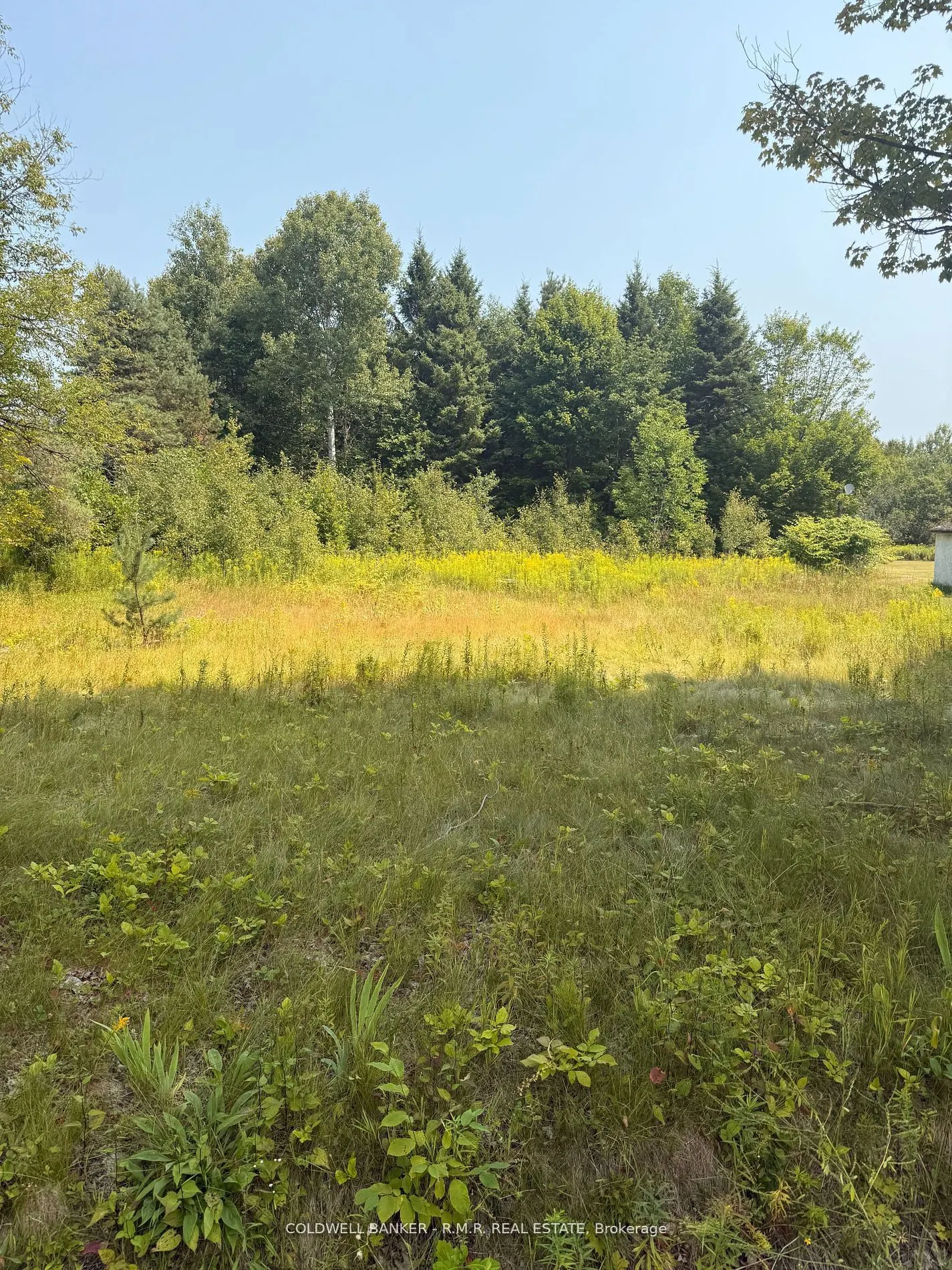 3995 Boulter Road