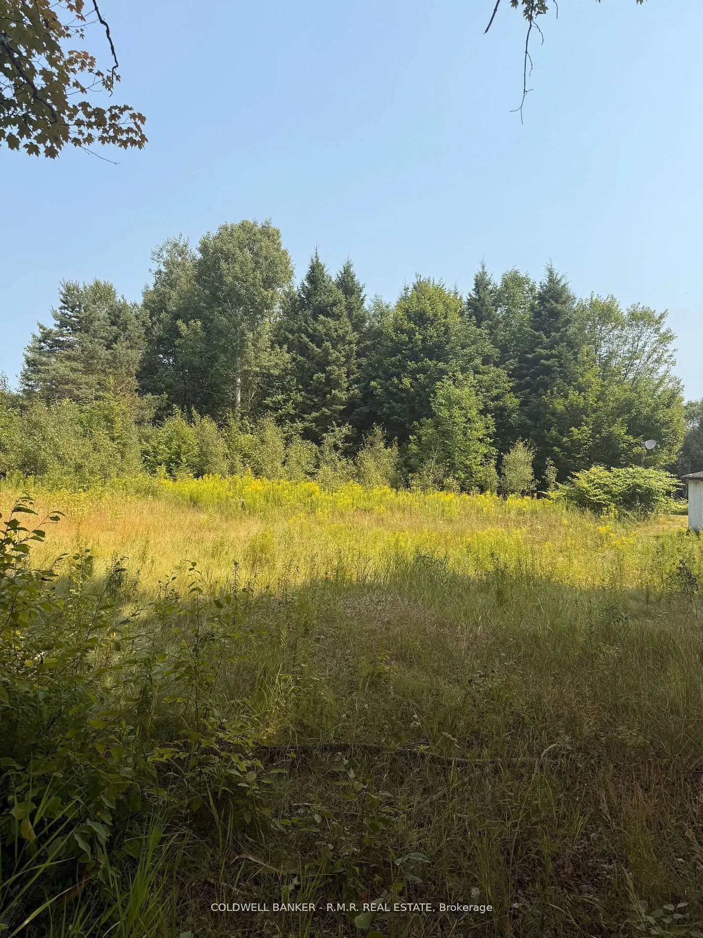 3995 Boulter Road