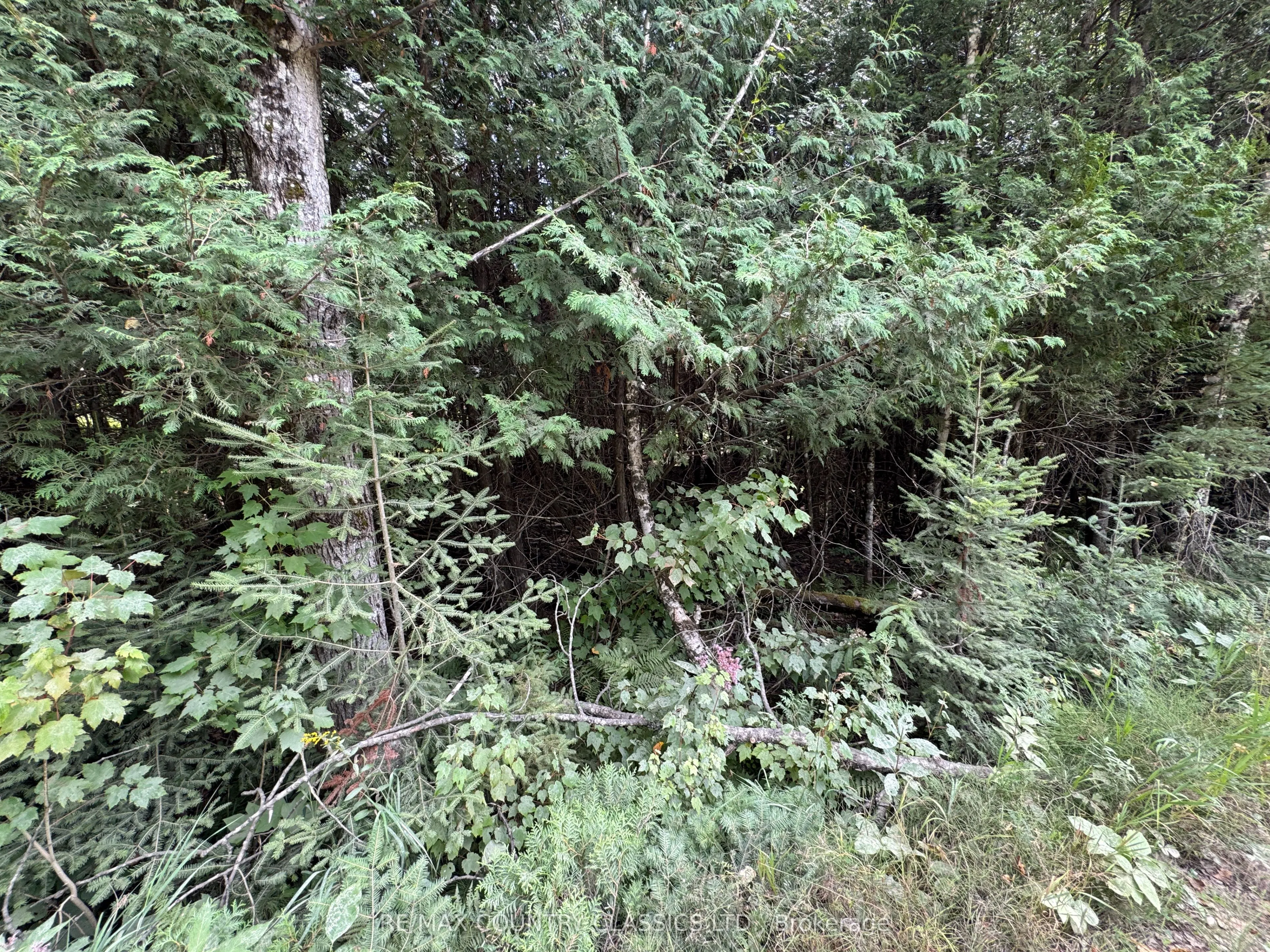 0 Schimmens Road
