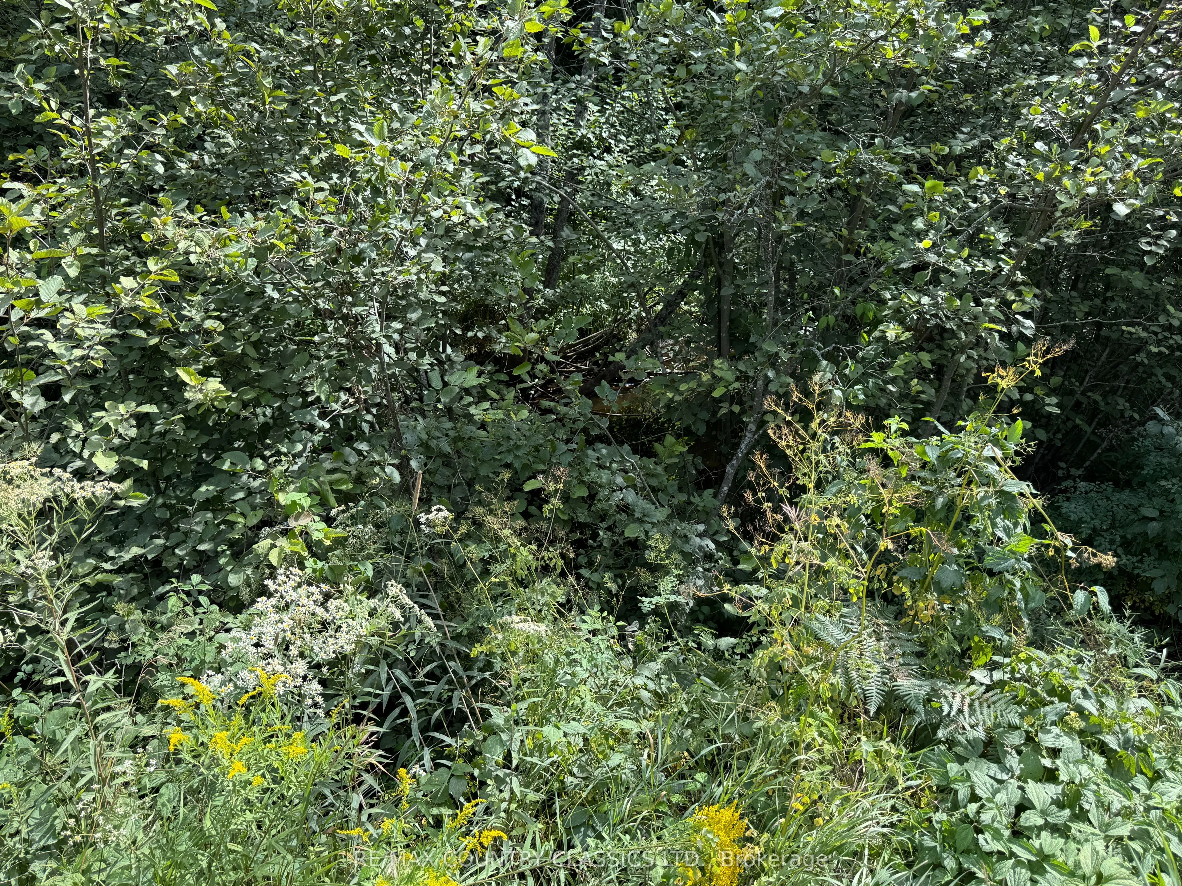 00 Schimmens Road