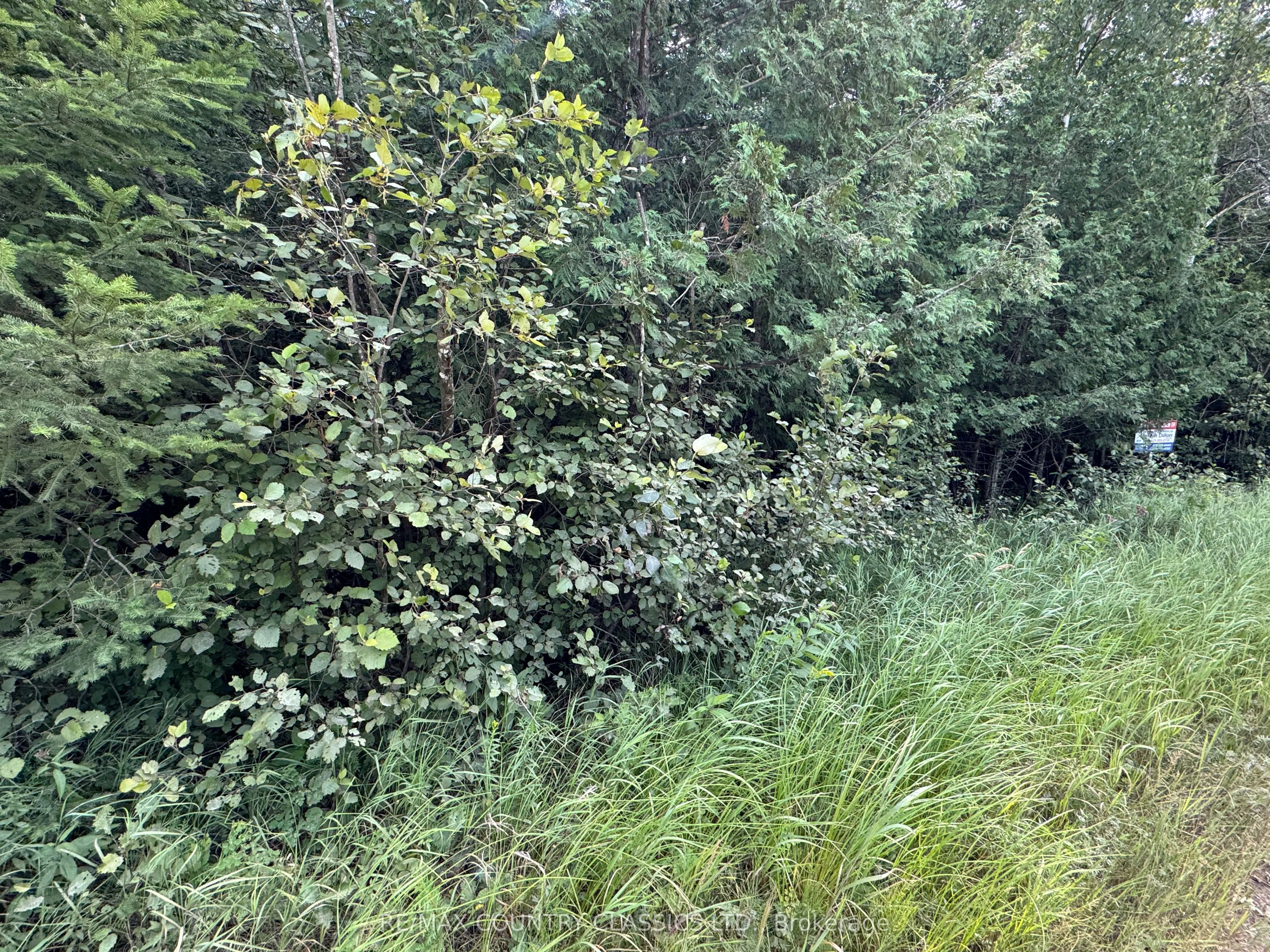 00 Schimmens Road