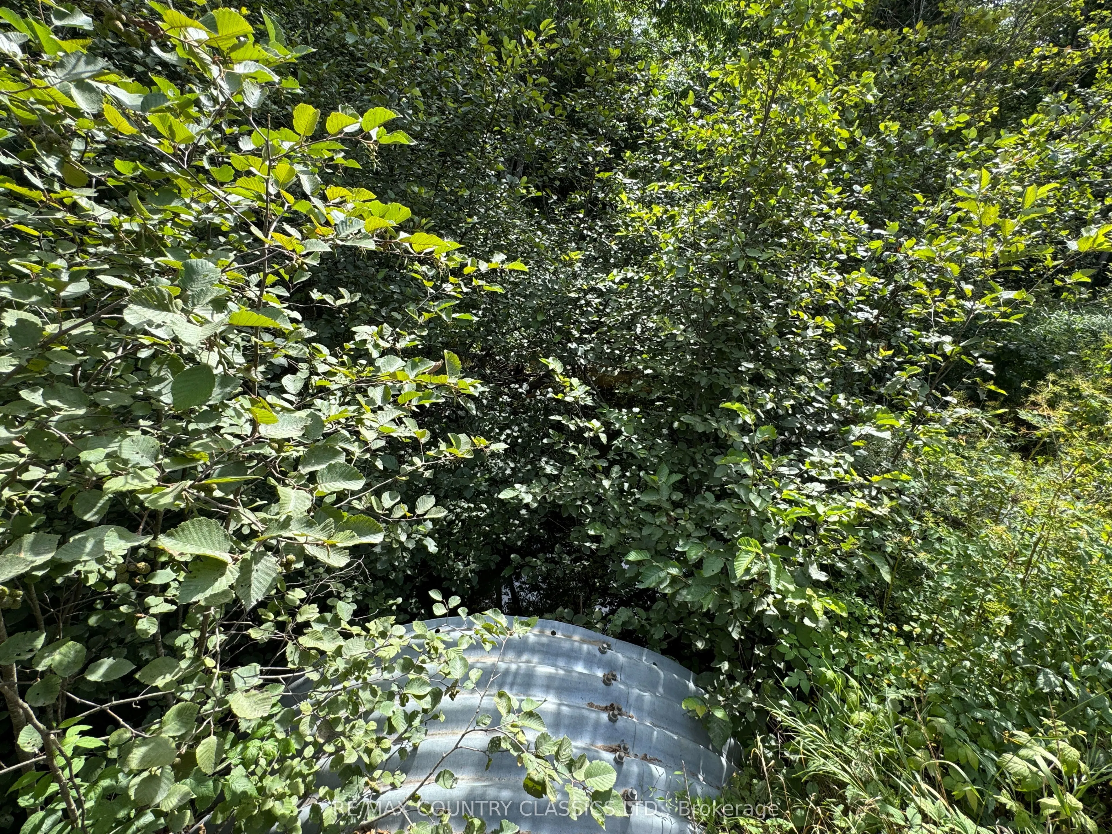 00 Schimmens Road