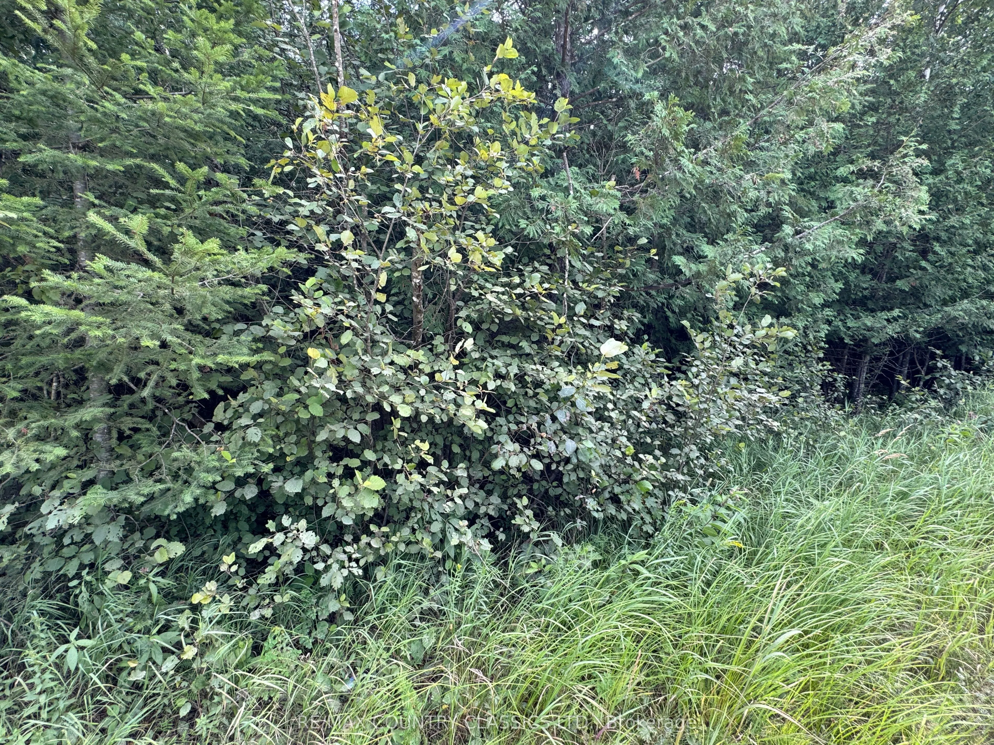 00 Schimmens Road