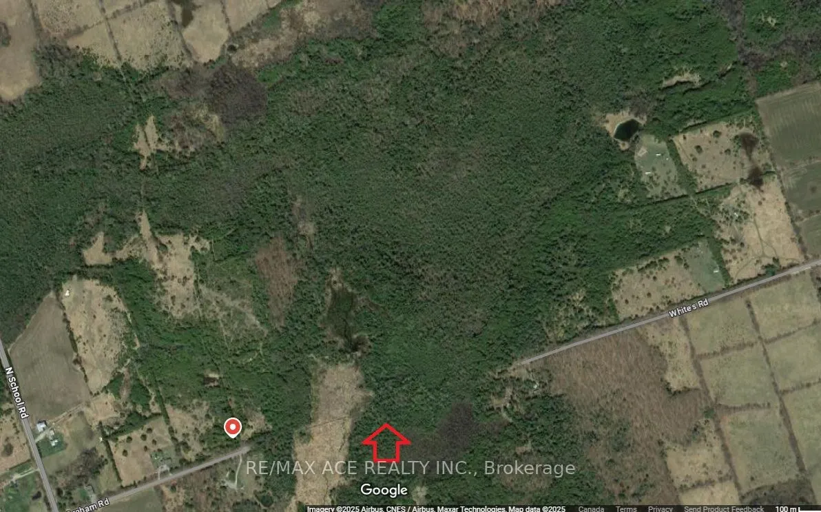 14 Concession Lot 38