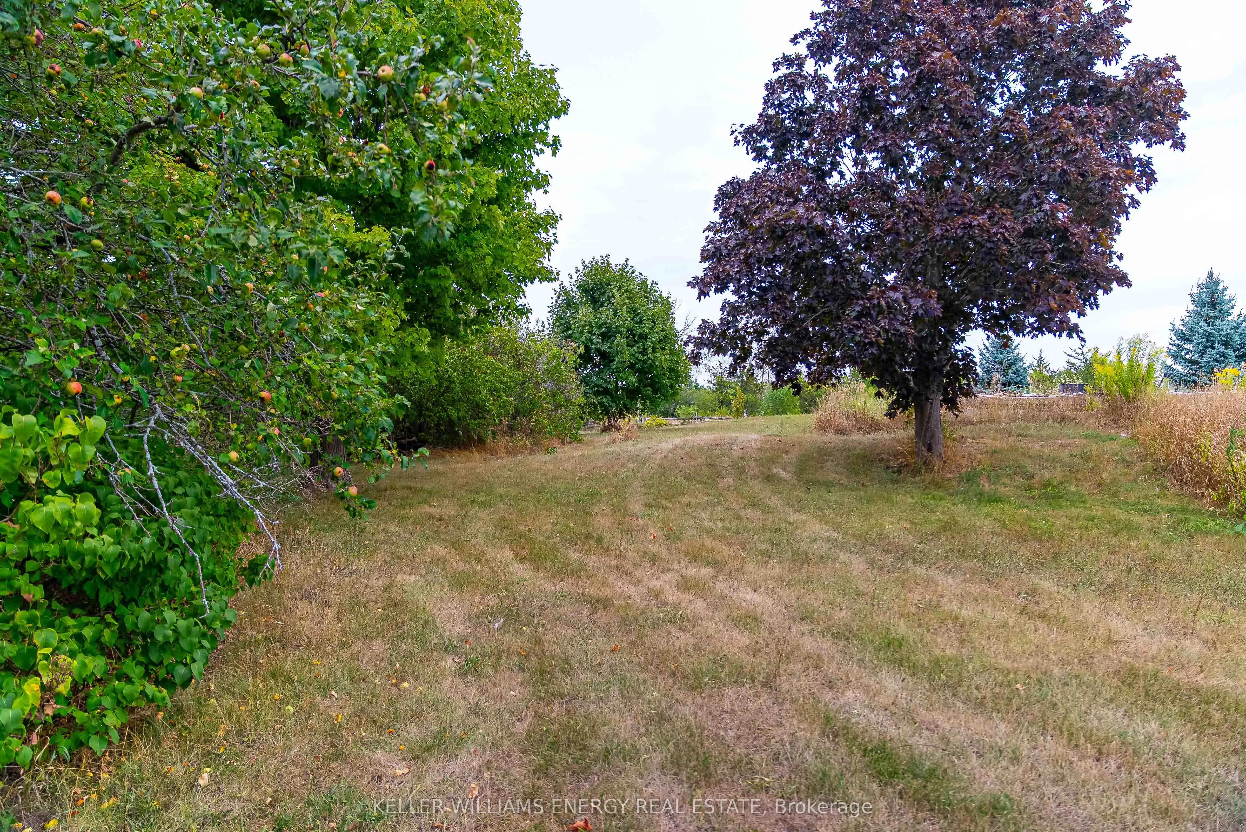 1156 Clarke Road