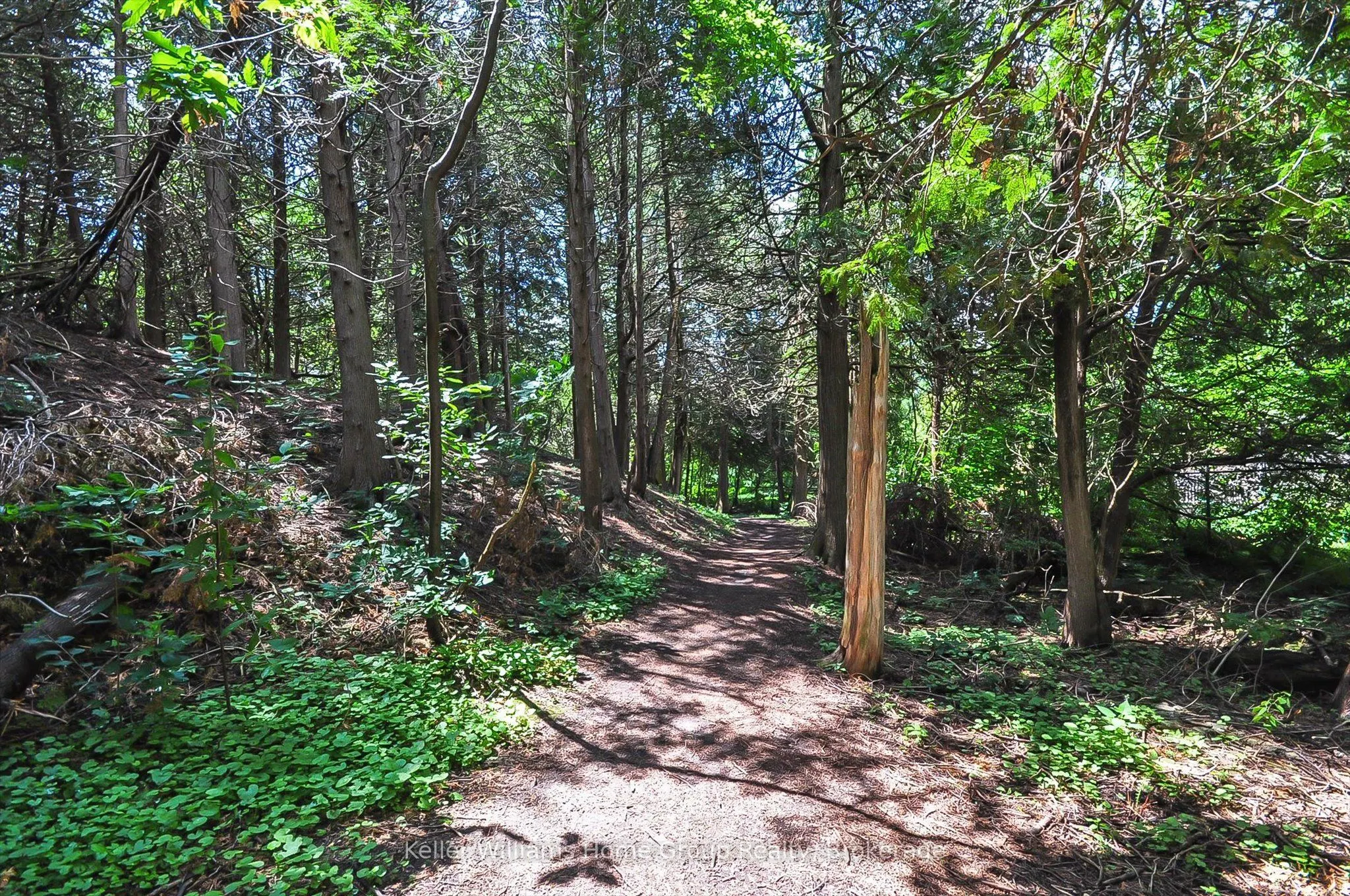 106 Woodlawn Road E, #4