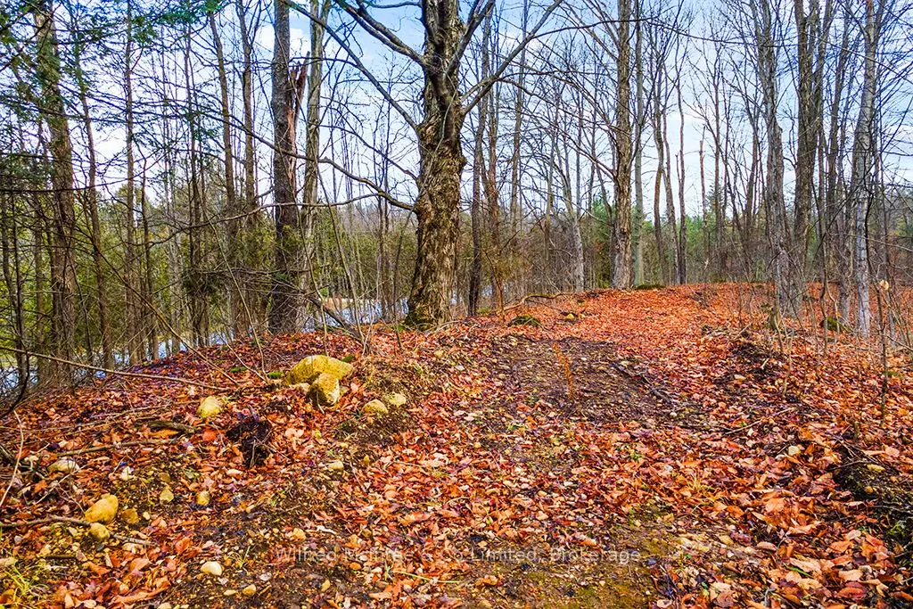 PtLt 16; Part 2 16R6350 5 Side Road