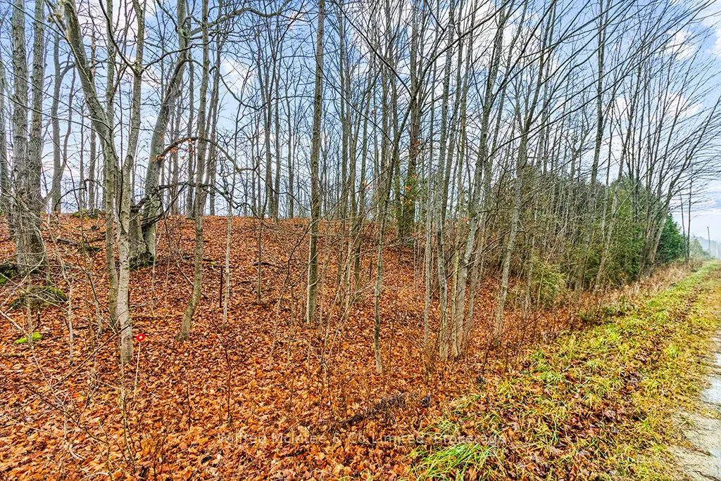 PtLt 16; Part 2 16R6350 5 Side Road