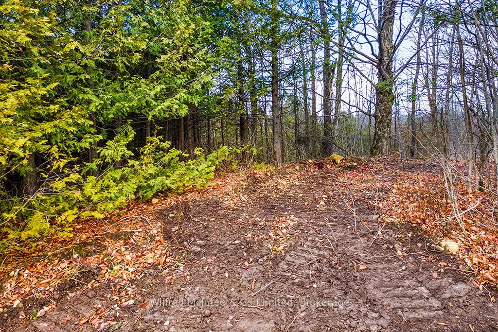 PtLt 16; Part 2 16R6350 5 Side Road