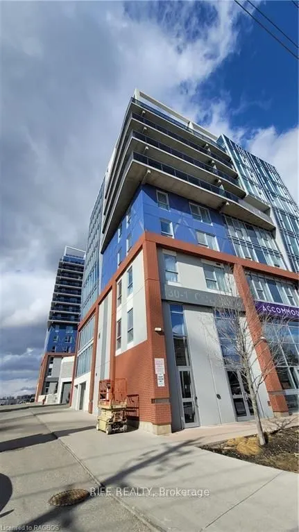 365 Albert Street, #513