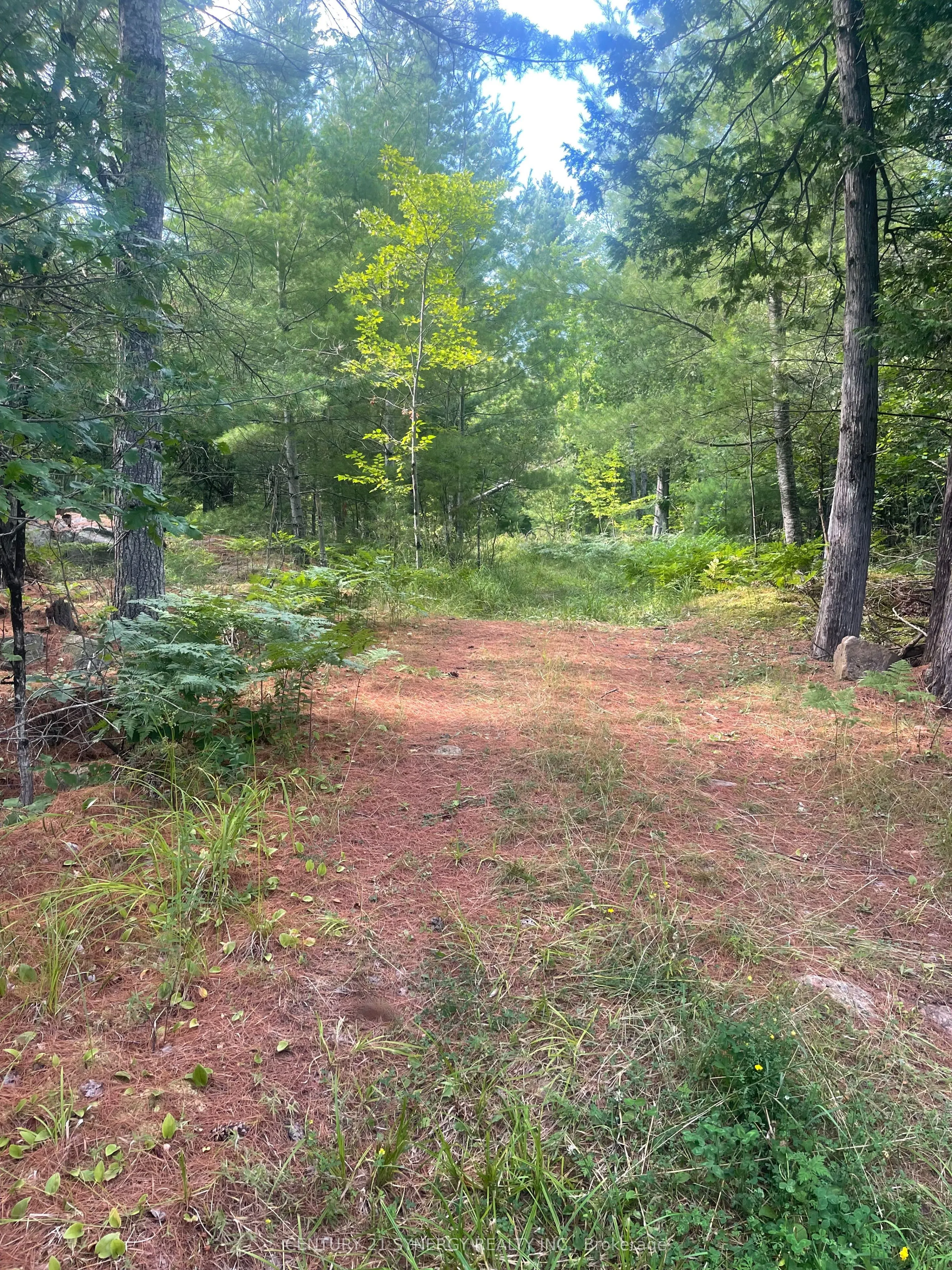 756 Bellamy Mills Road