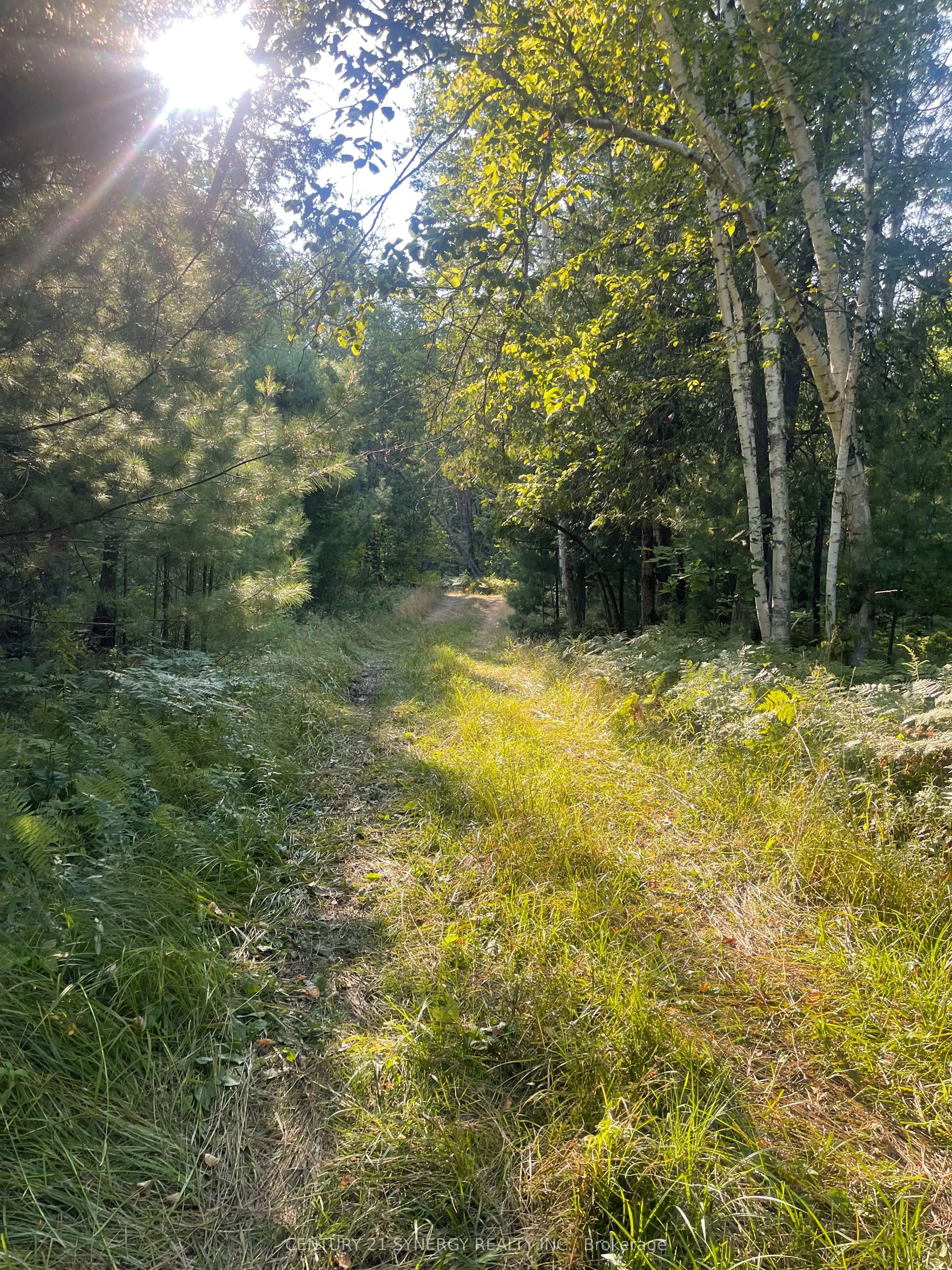 756 Bellamy Mills Road