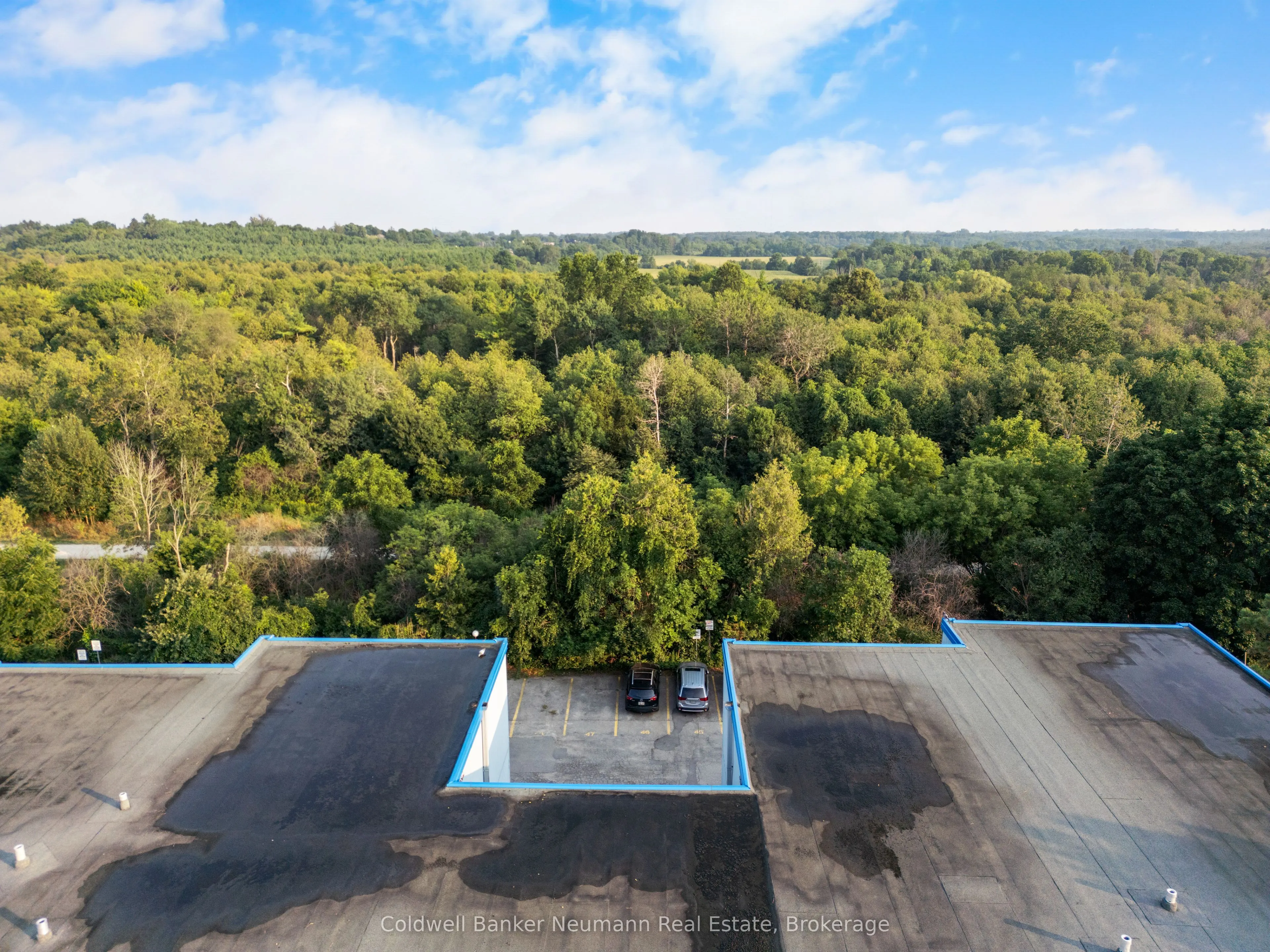 105 Conroy Crescent, #301