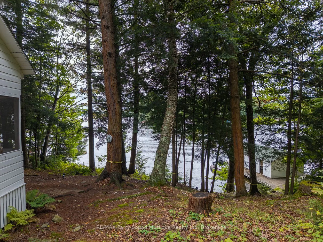 897 897172 WA Horseshoe Lake