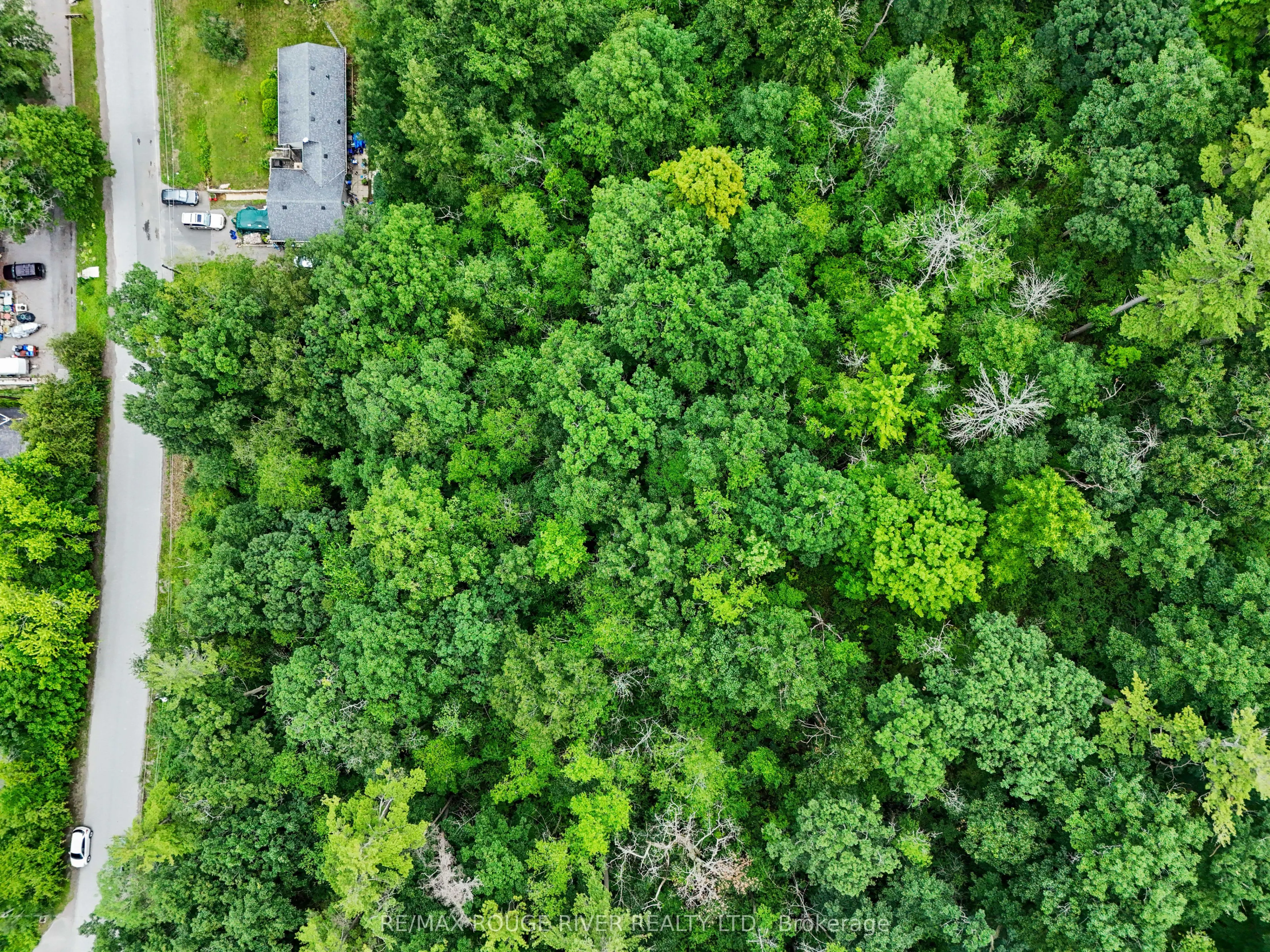 Lot 28 Bamsey Drive