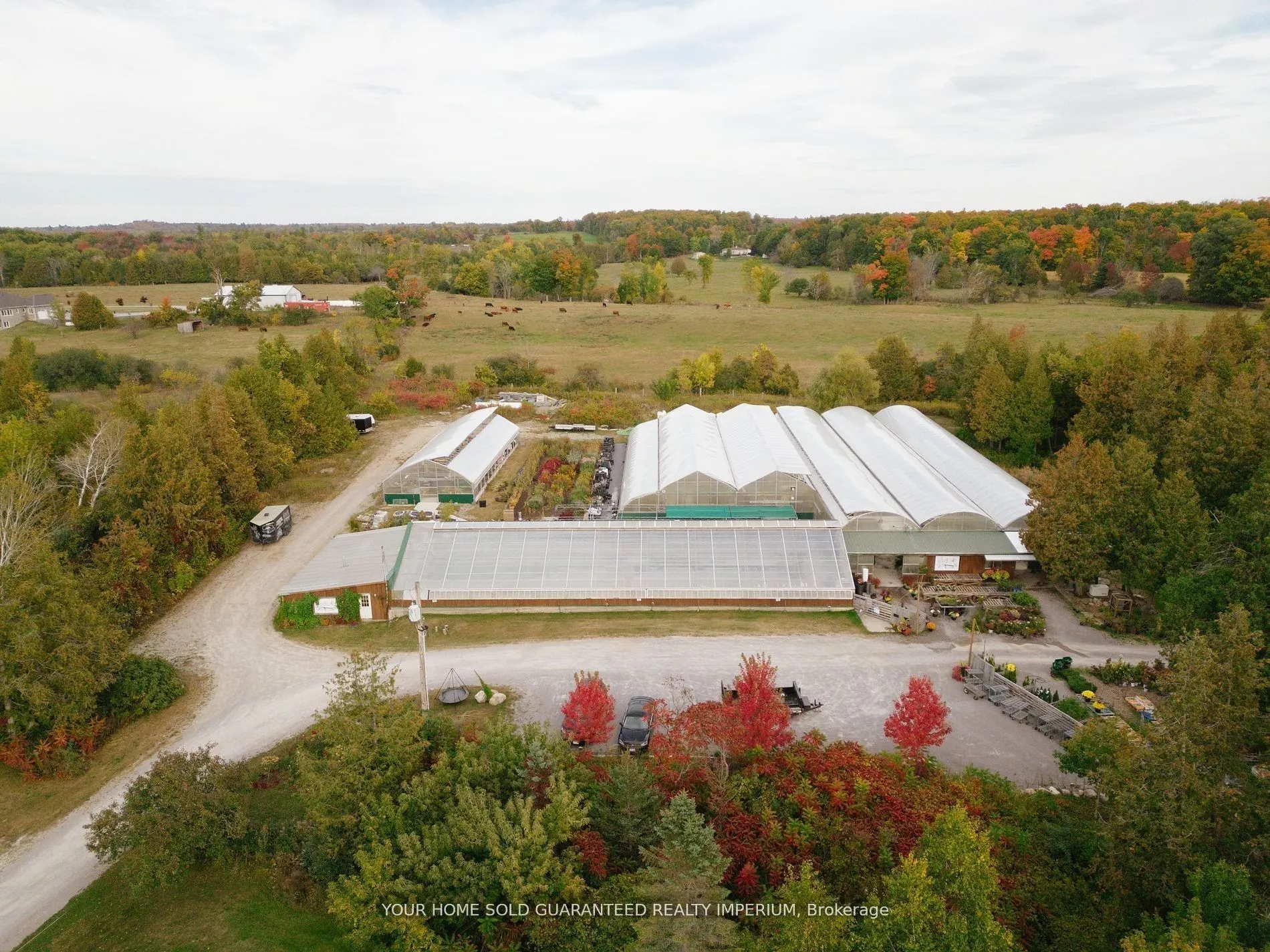 4115 County Rd 32