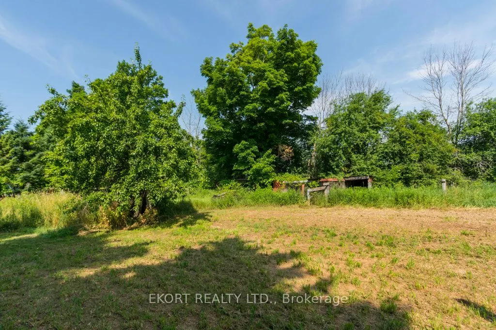 1172 Salem Road