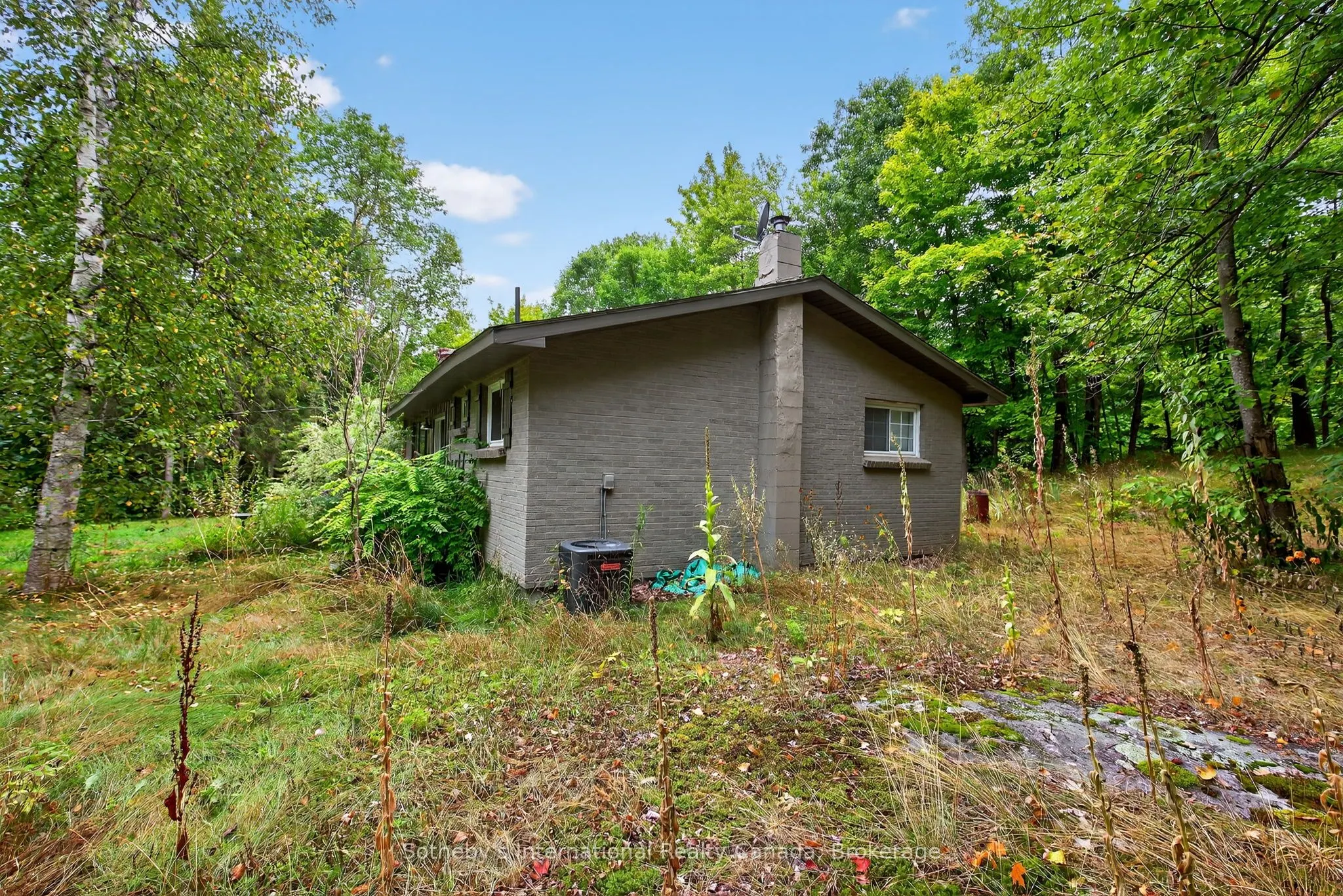 1132 Limberlost Road