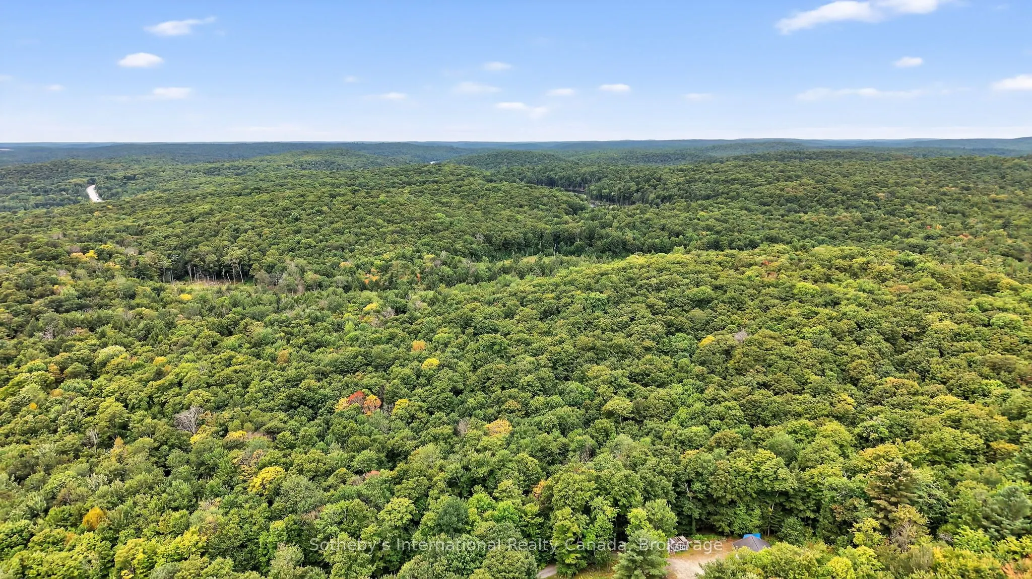 1132 Limberlost Road