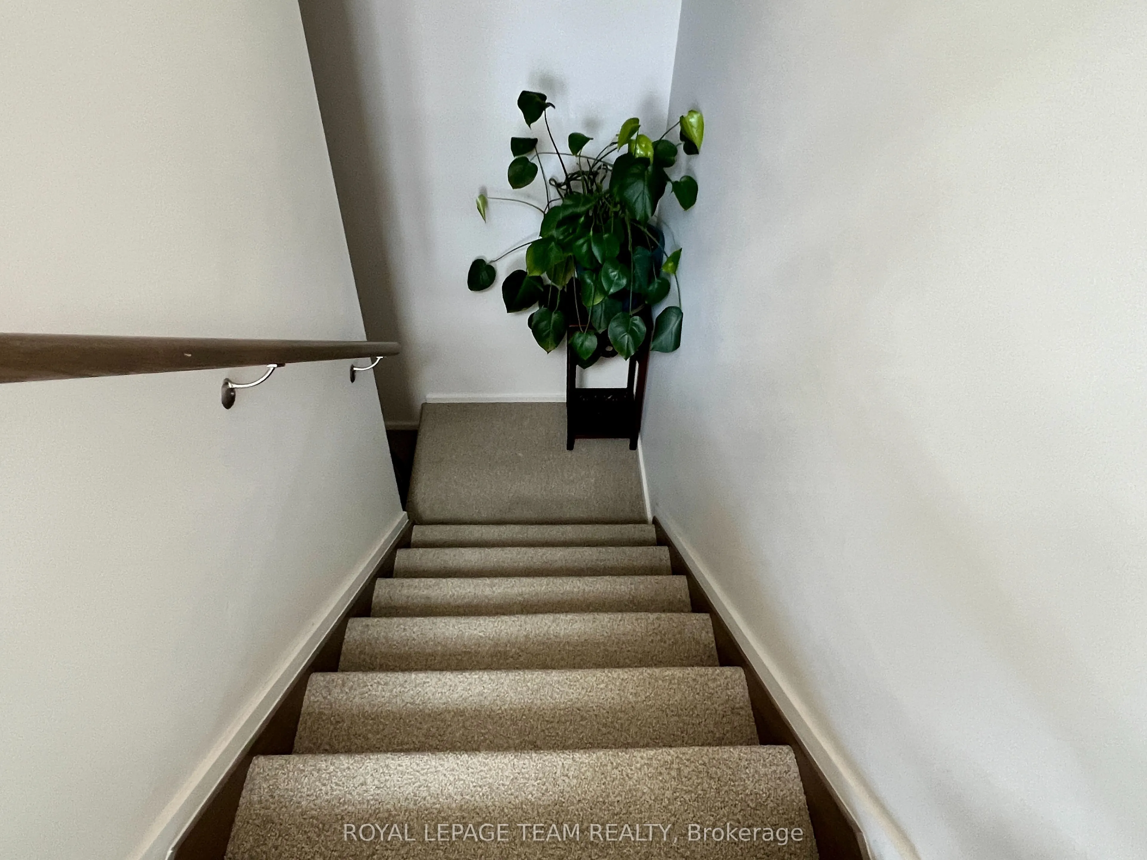 891 Chipping Circle