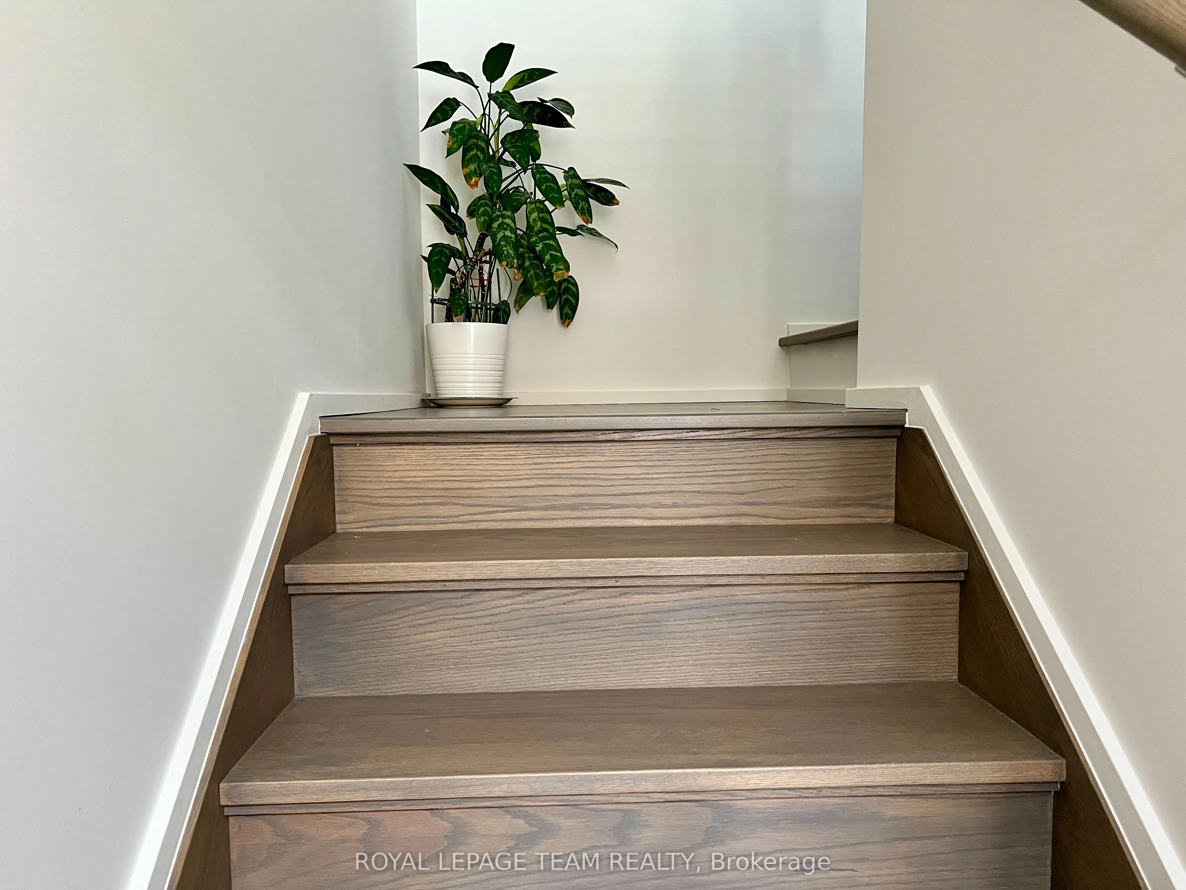 891 Chipping Circle
