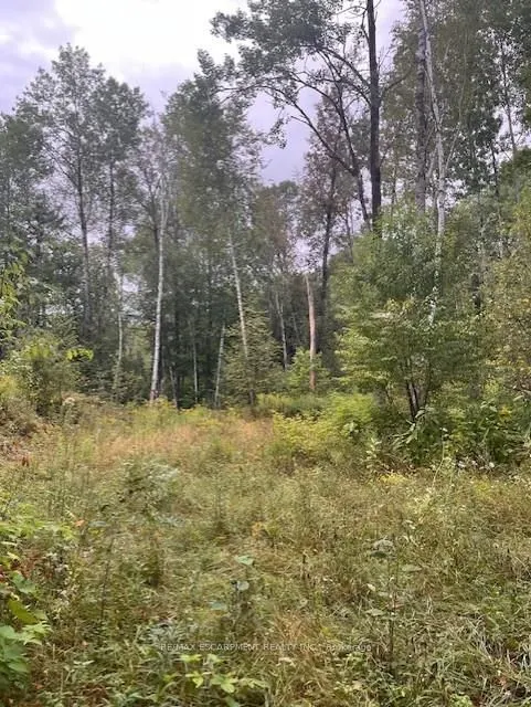 4333 Loop Road