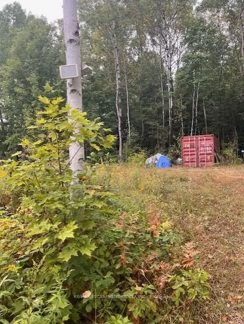 4333 Loop Road