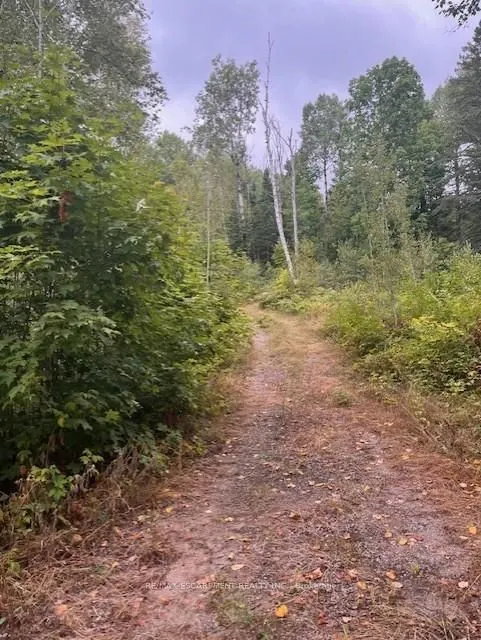 4333 Loop Road
