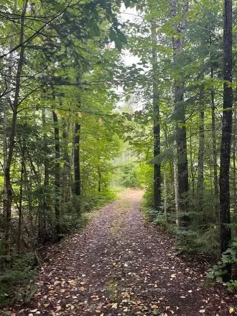 4333 Loop Road