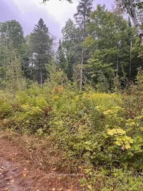 4333 Loop Road