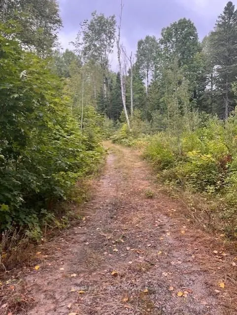 4333 Loop Road
