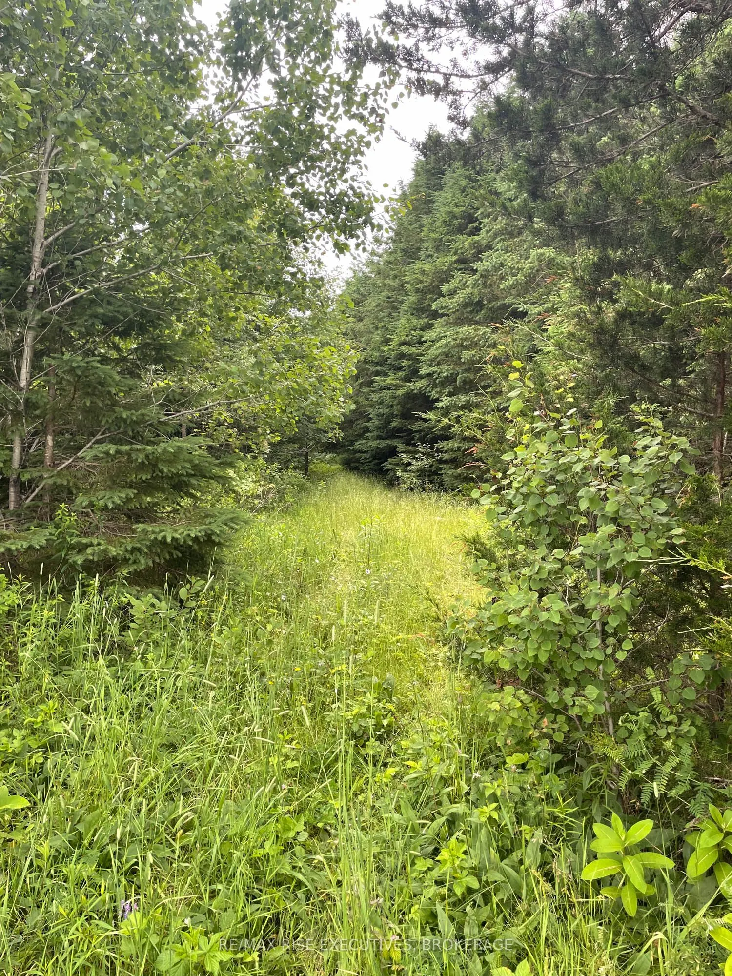 1311A ROAD 506