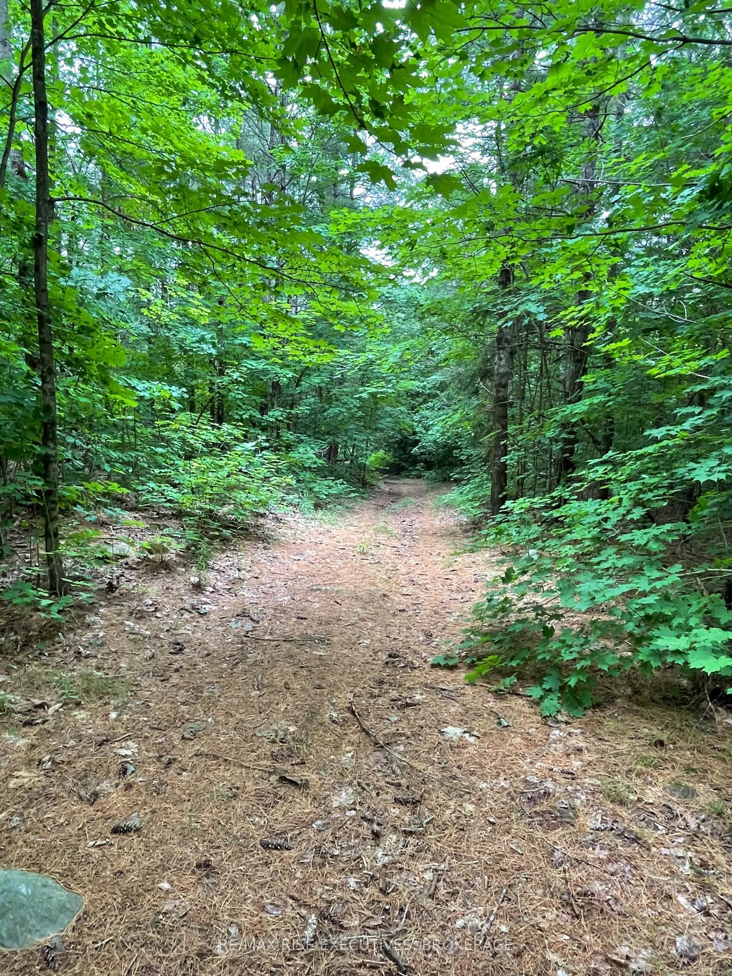 1311A ROAD 506
