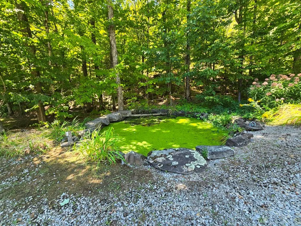 135 JOHN BUCHLER Road