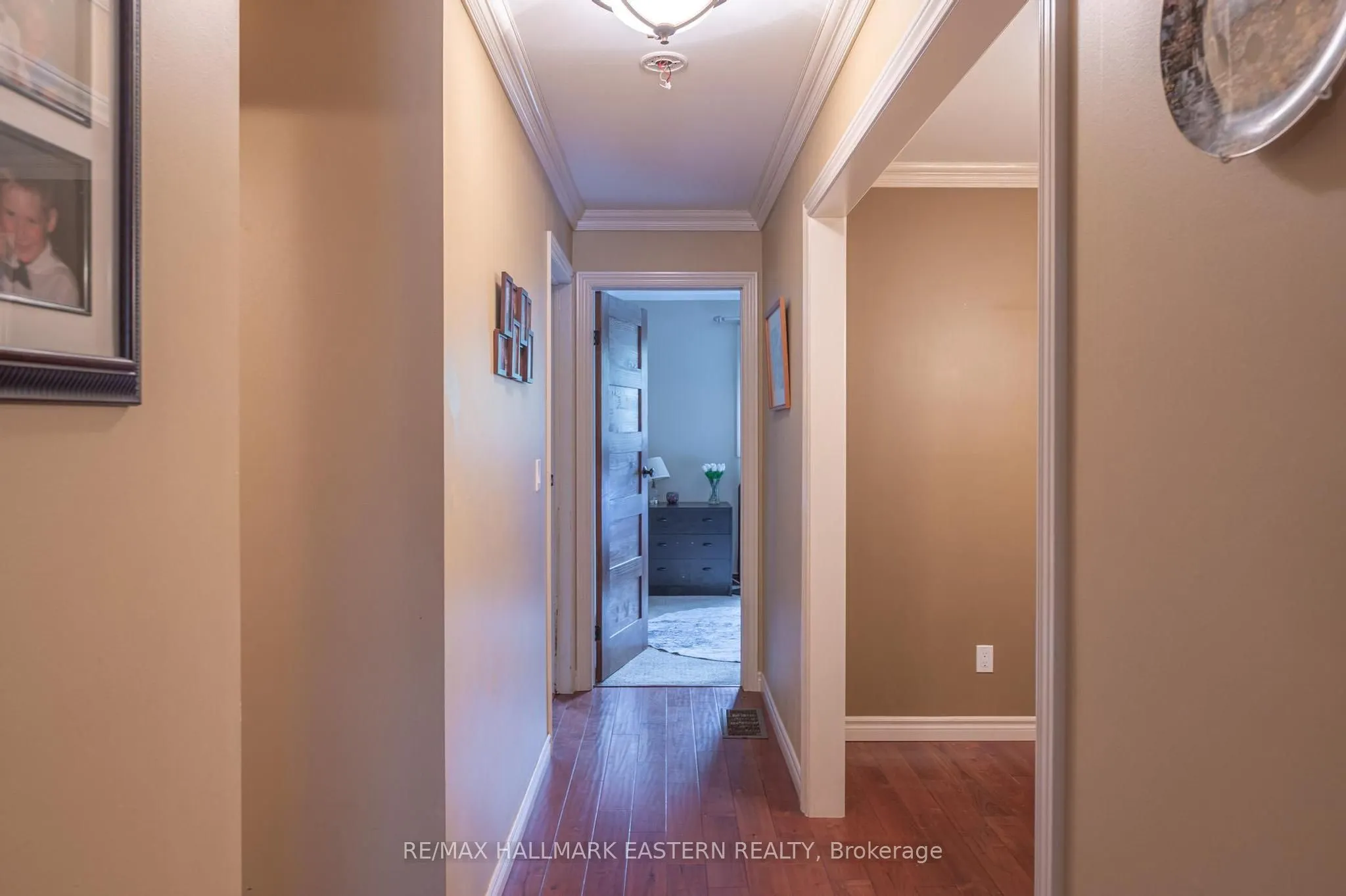 3 Carol Place