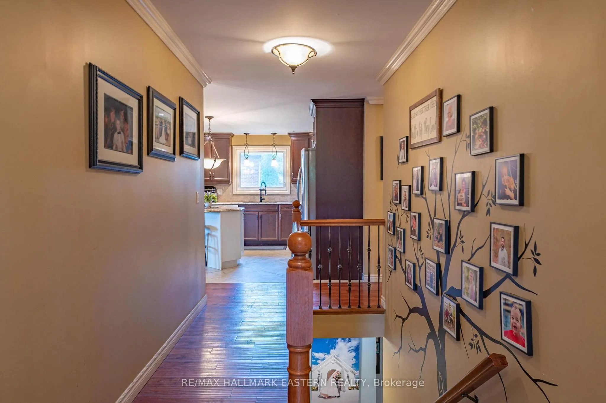 3 Carol Place