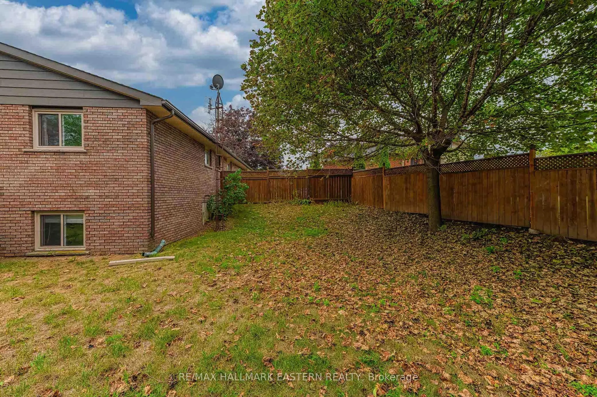 3 Carol Place