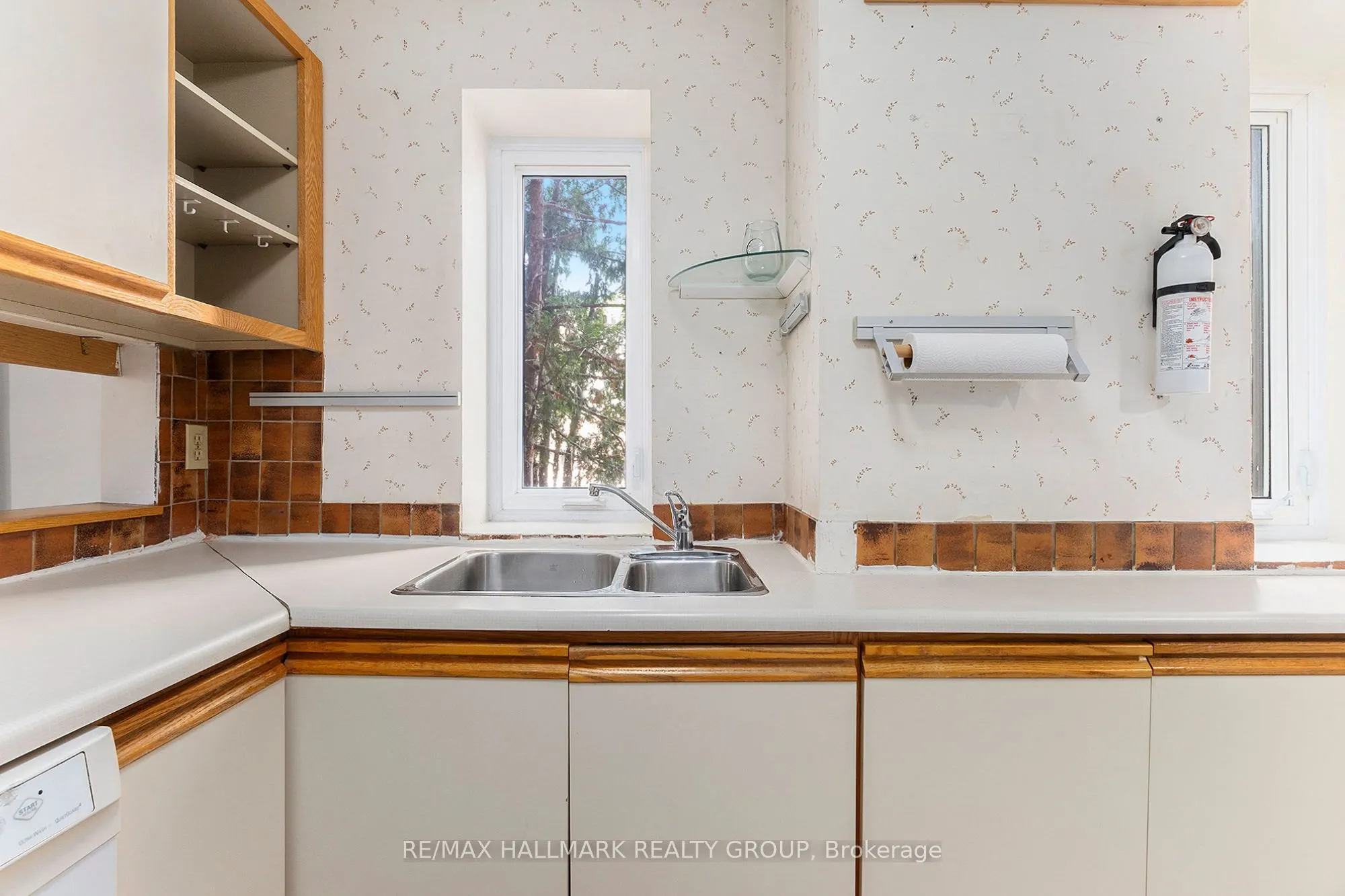 244 Charlotte Street, #3
