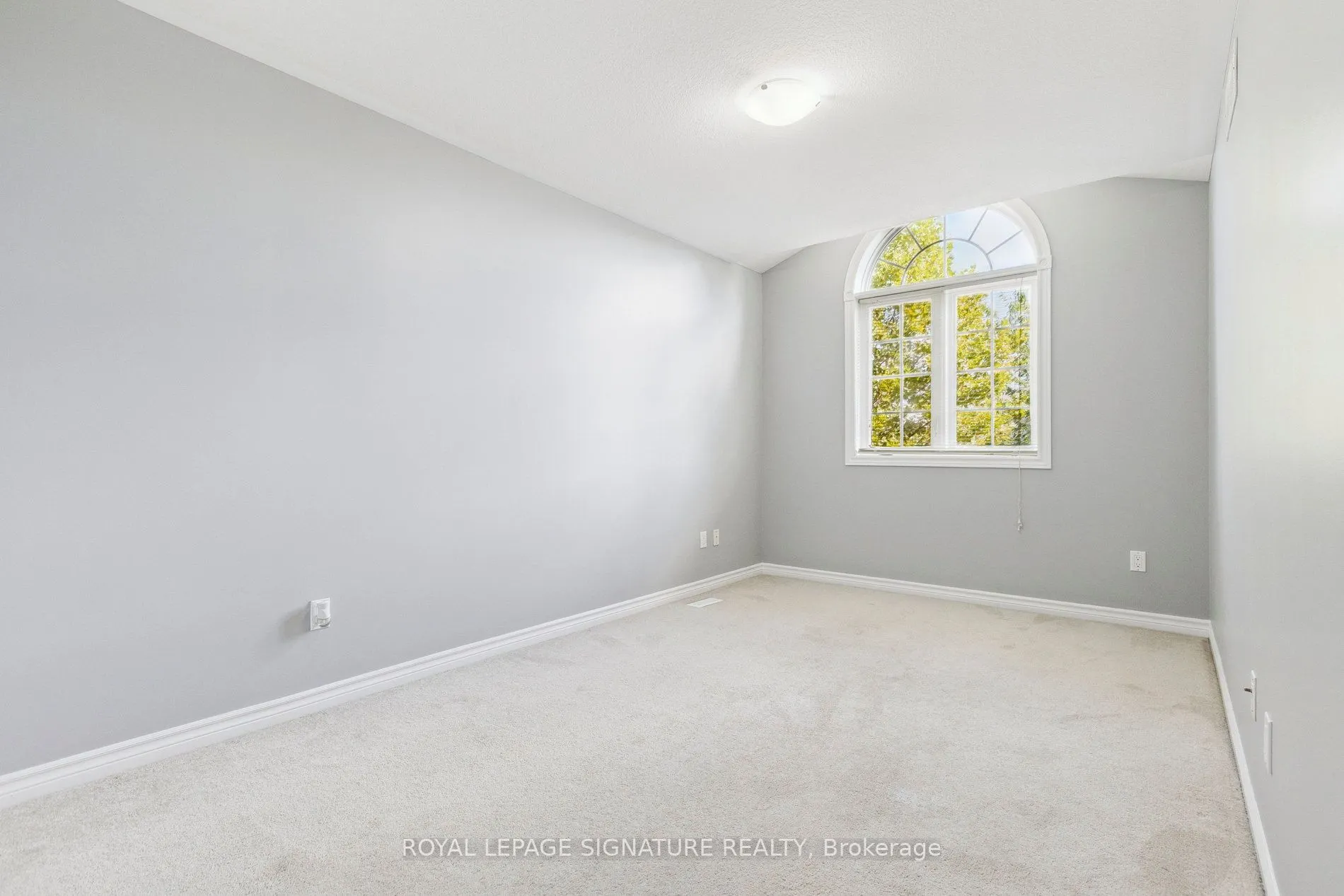 30 Vipond Street
