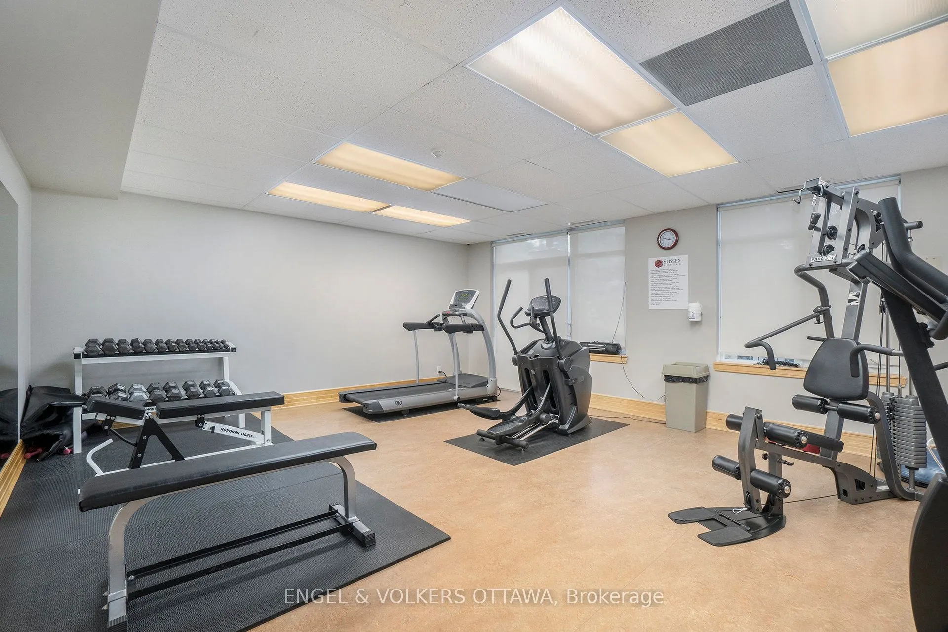 205 Bolton Street, #225