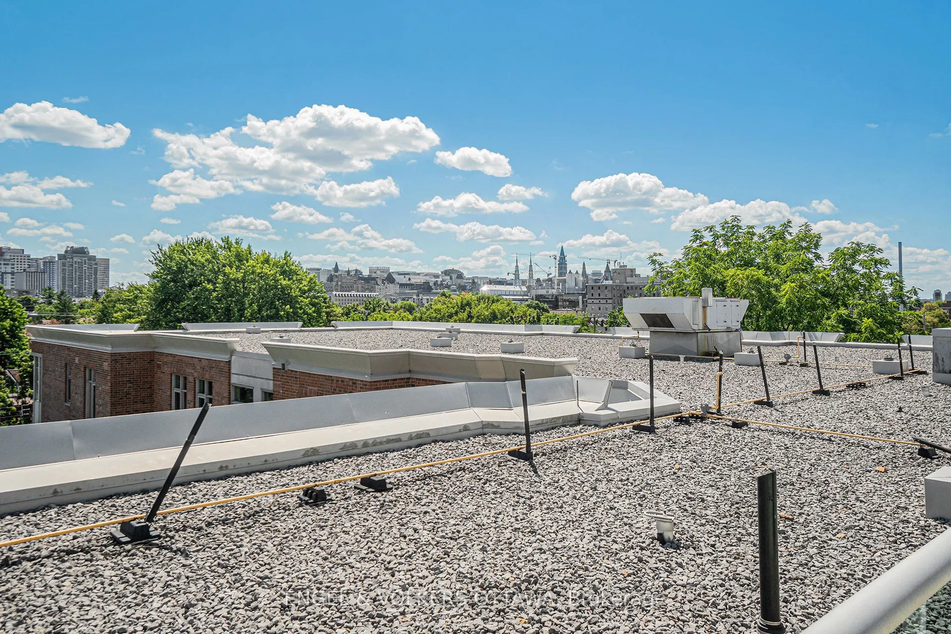205 Bolton Street, #225