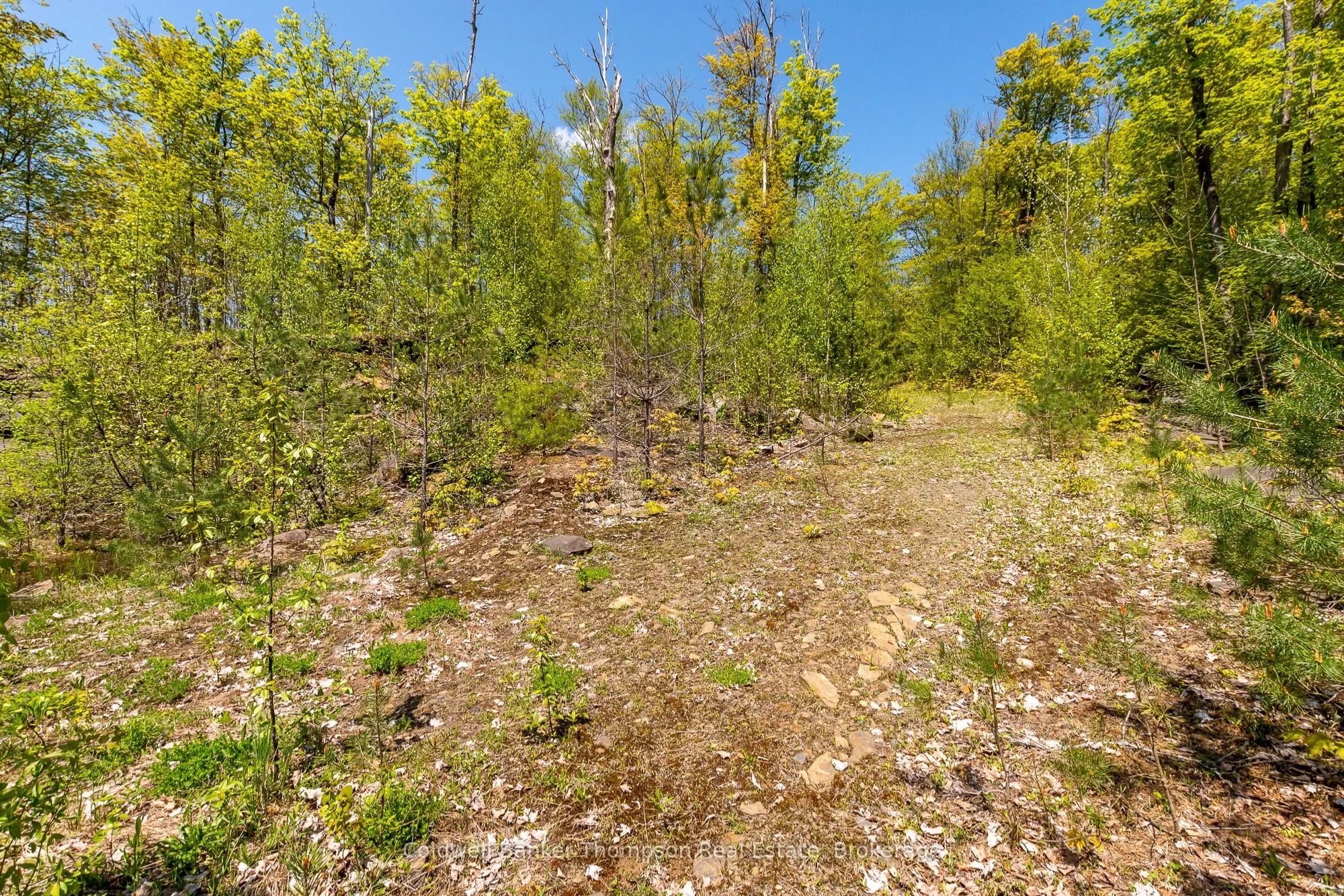 631 60 Highway