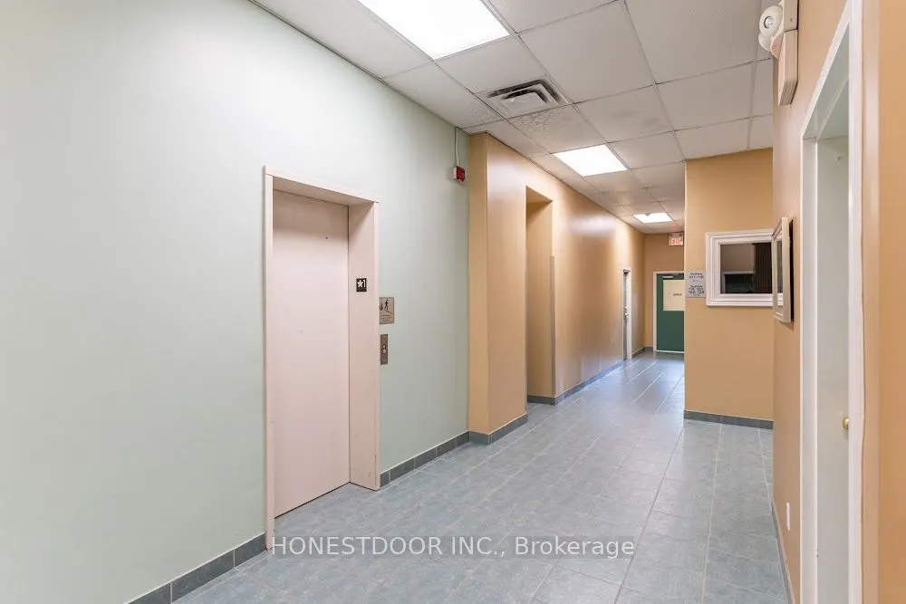 111 Grey Street, #204