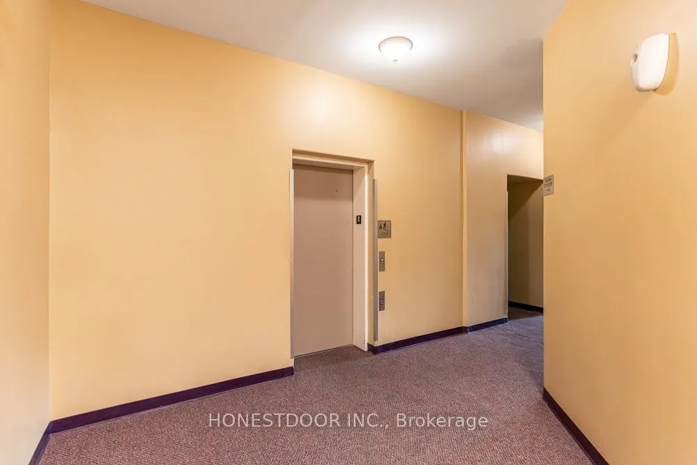 111 Grey Street, #204