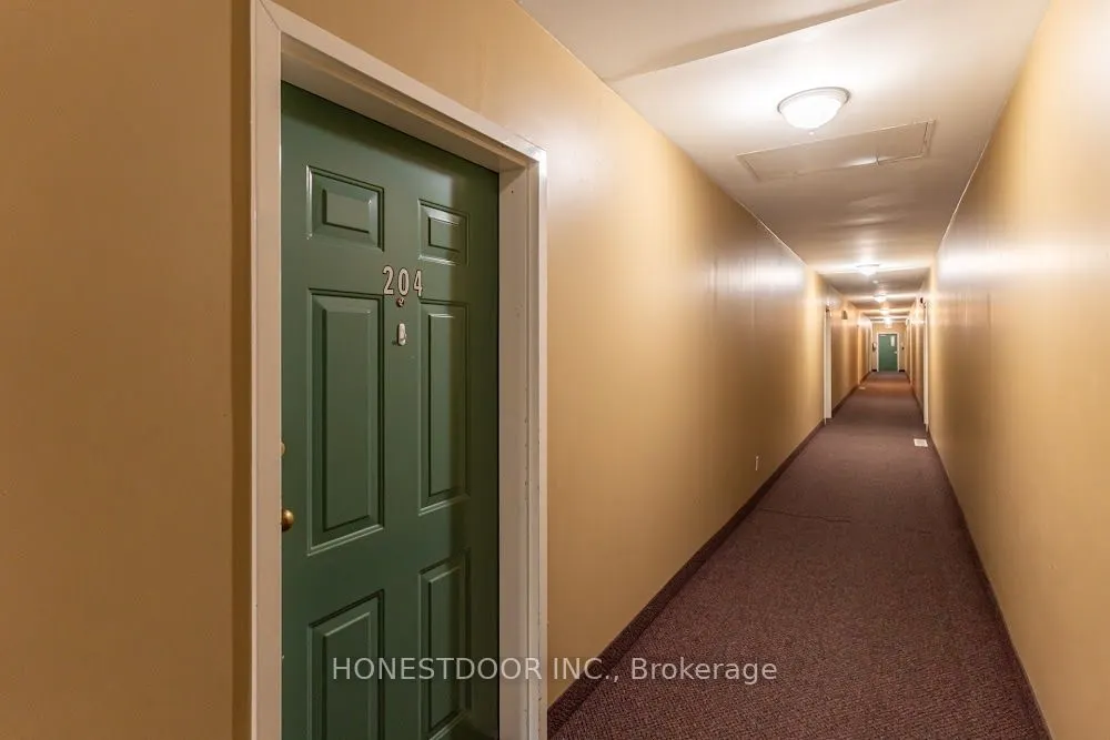 111 Grey Street, #204