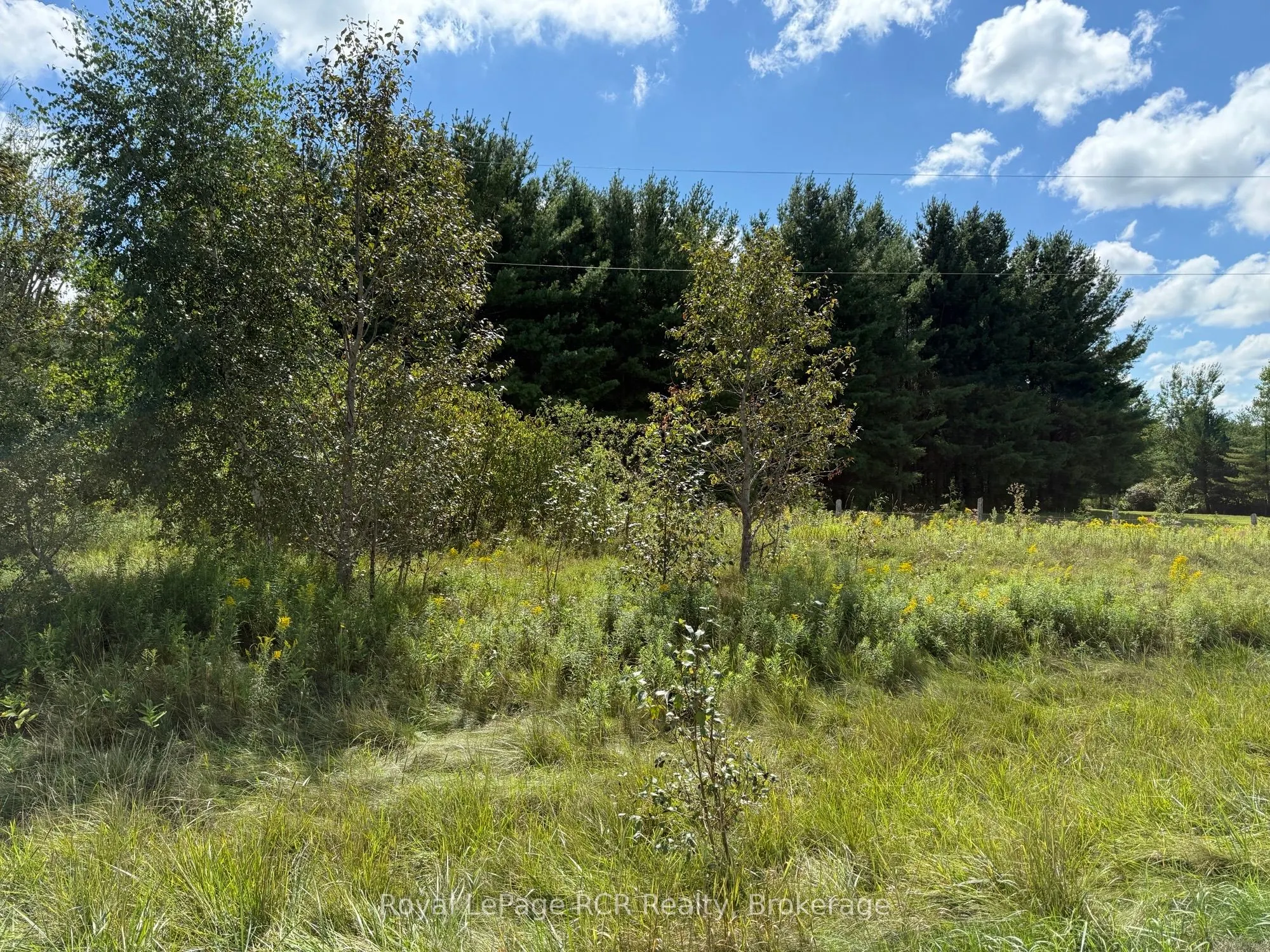 7373 Sideroad 5 E