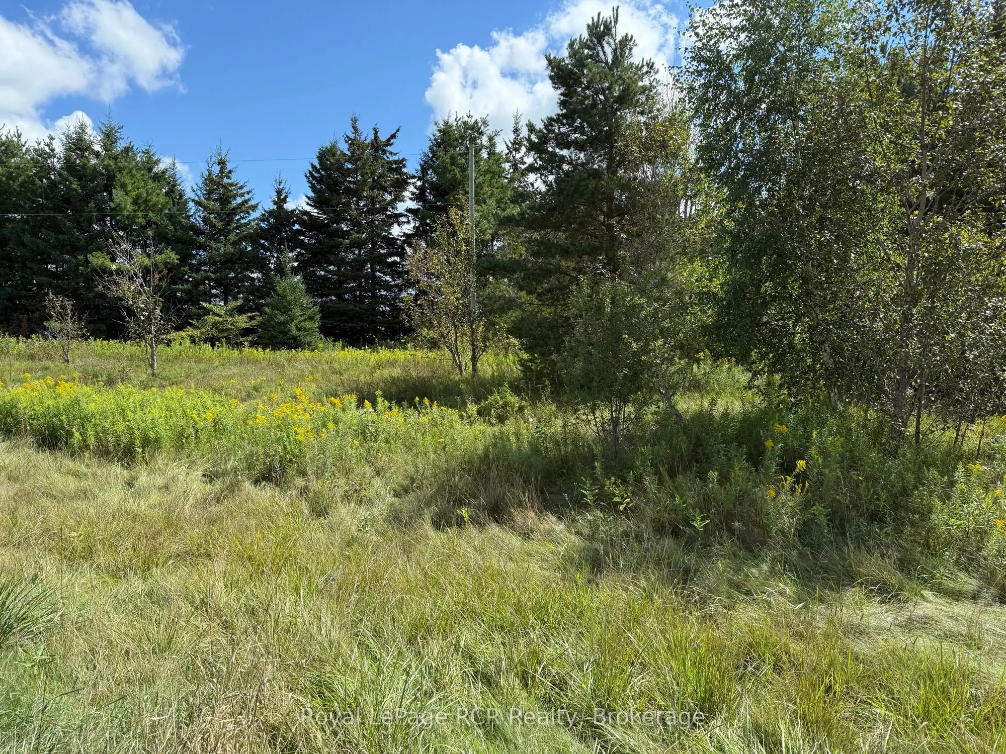 7373 Sideroad 5 E